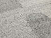 Aster Performance Rug