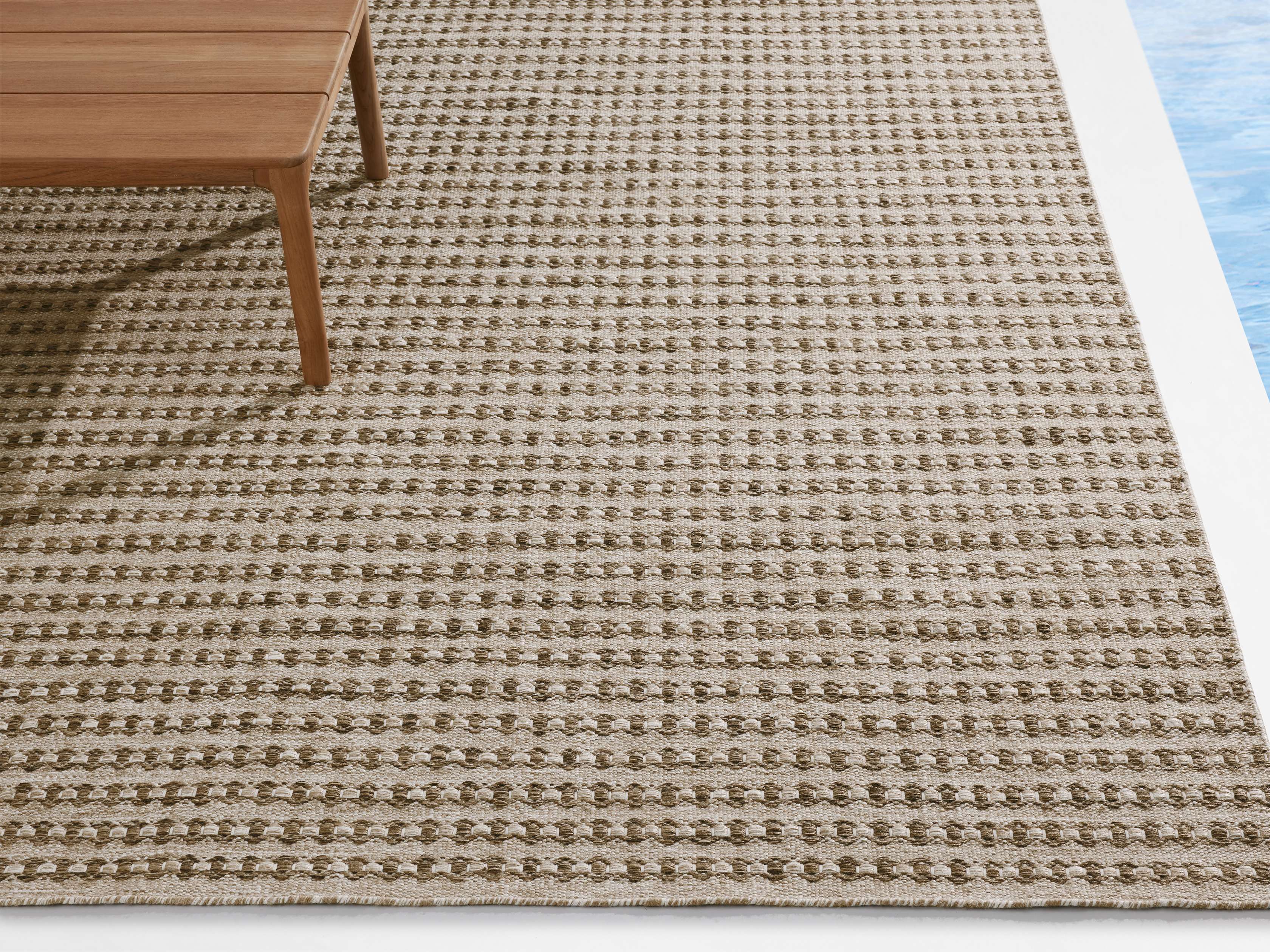 Elza Performance Rug