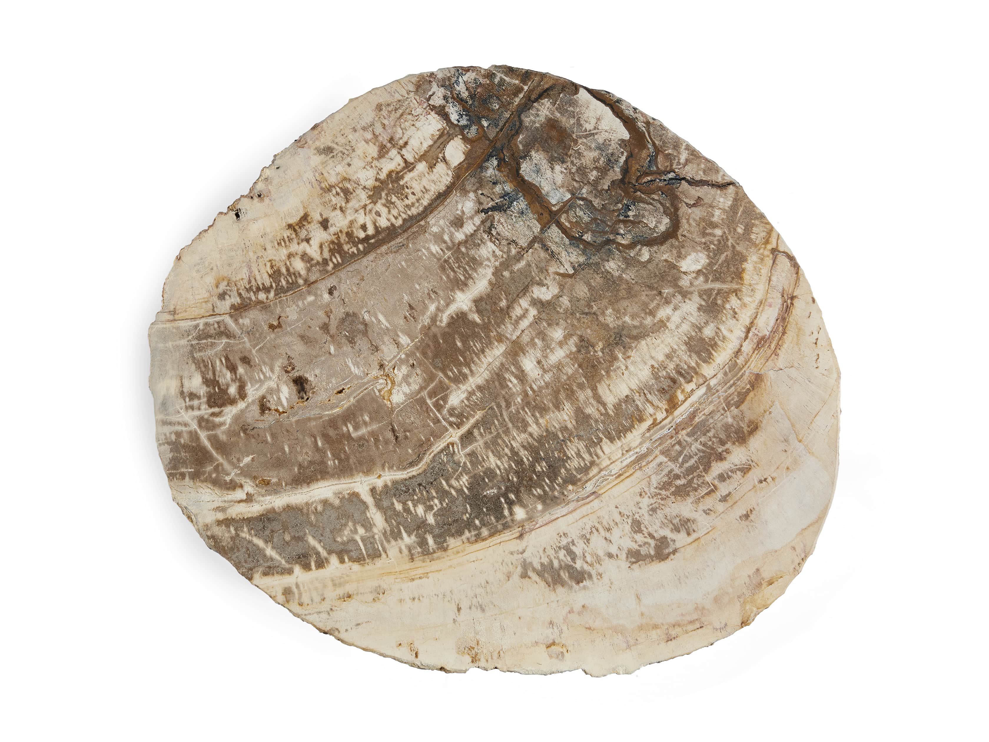 Mangata Petrified Wood Single Table with 18" Base