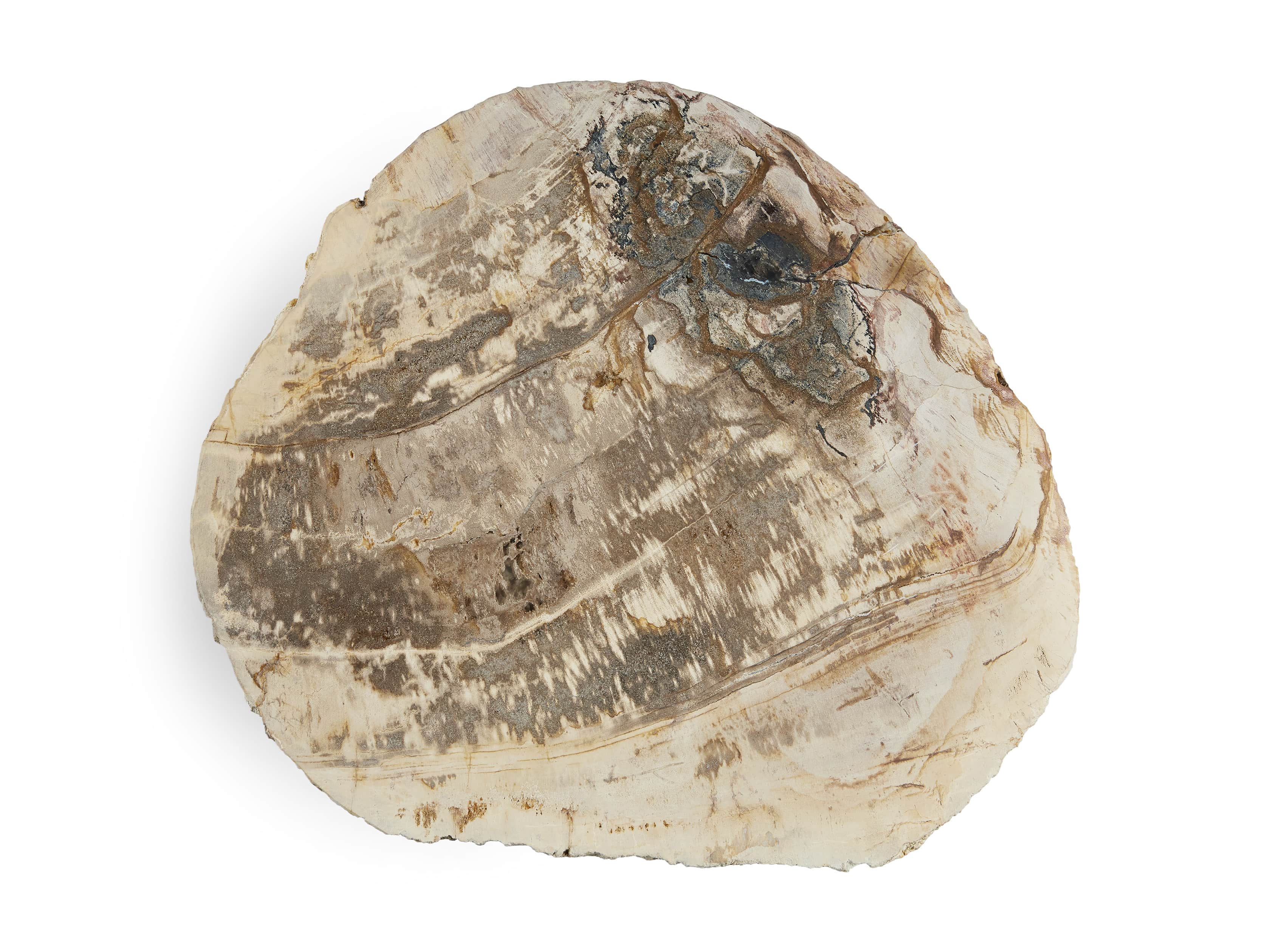 Mangata Petrified Wood Single Table with 18" Base