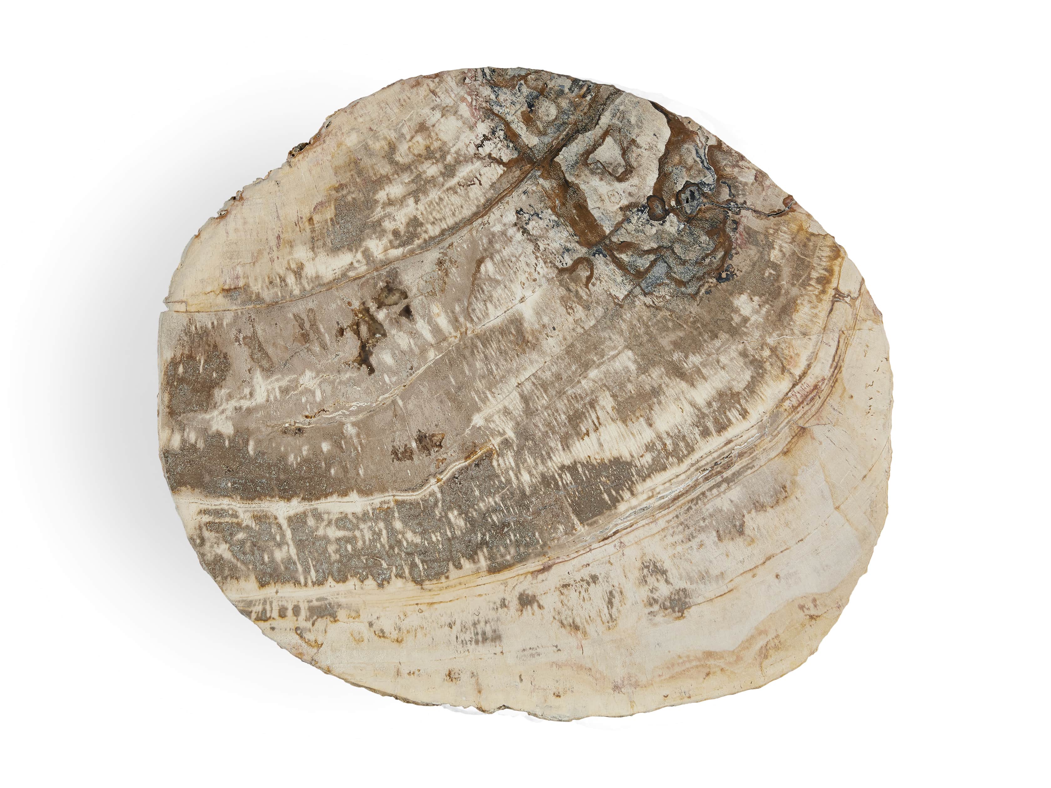 Mangata Petrified Wood Single Table with 18" Base