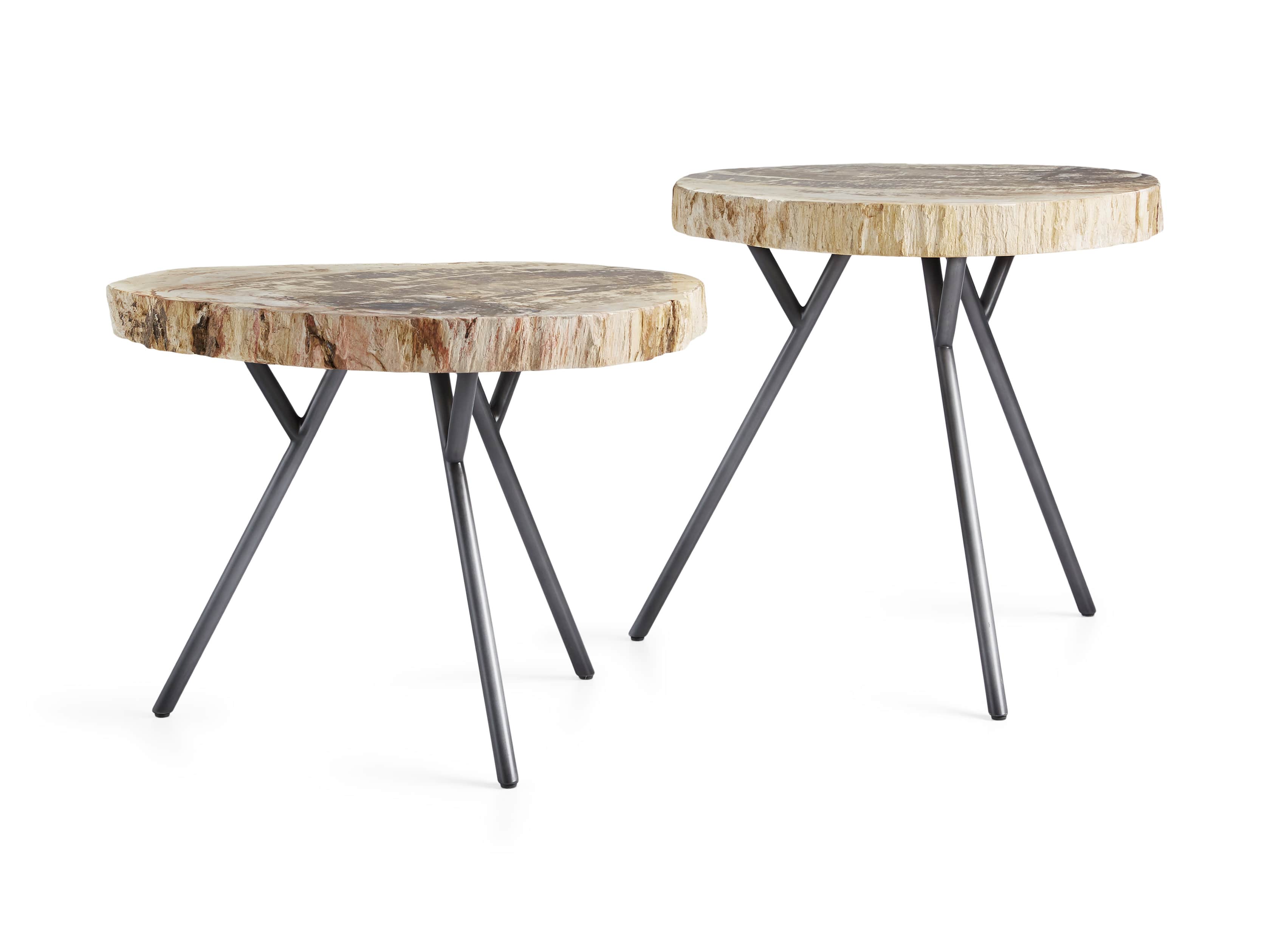 Mangata Petrified Wood Table Duo with 16" and 18" Bases, slide 2 of 5