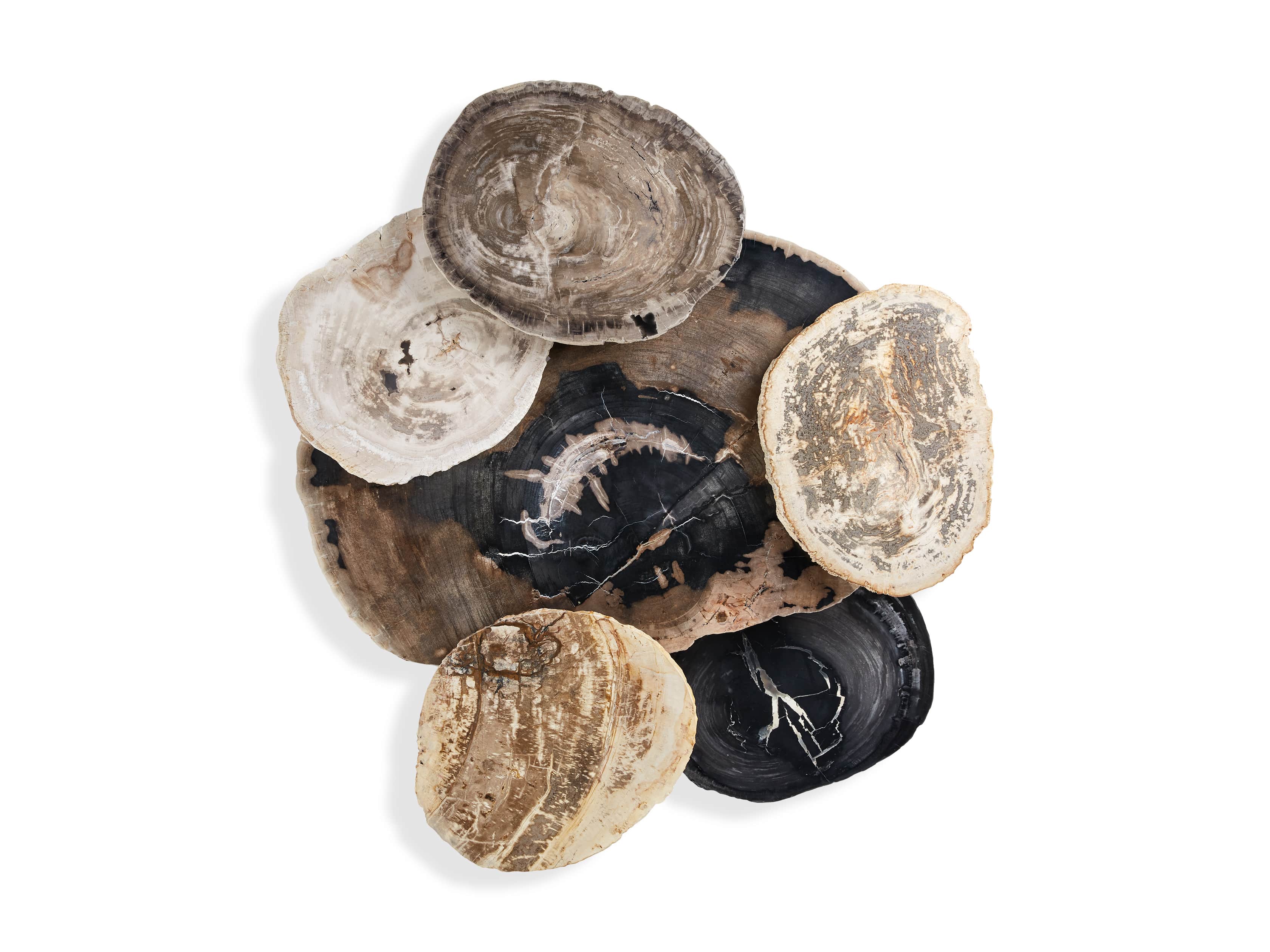 Mangata Petrified Wood Table Duo with 16" and 18" Bases, slide 4 of 5
