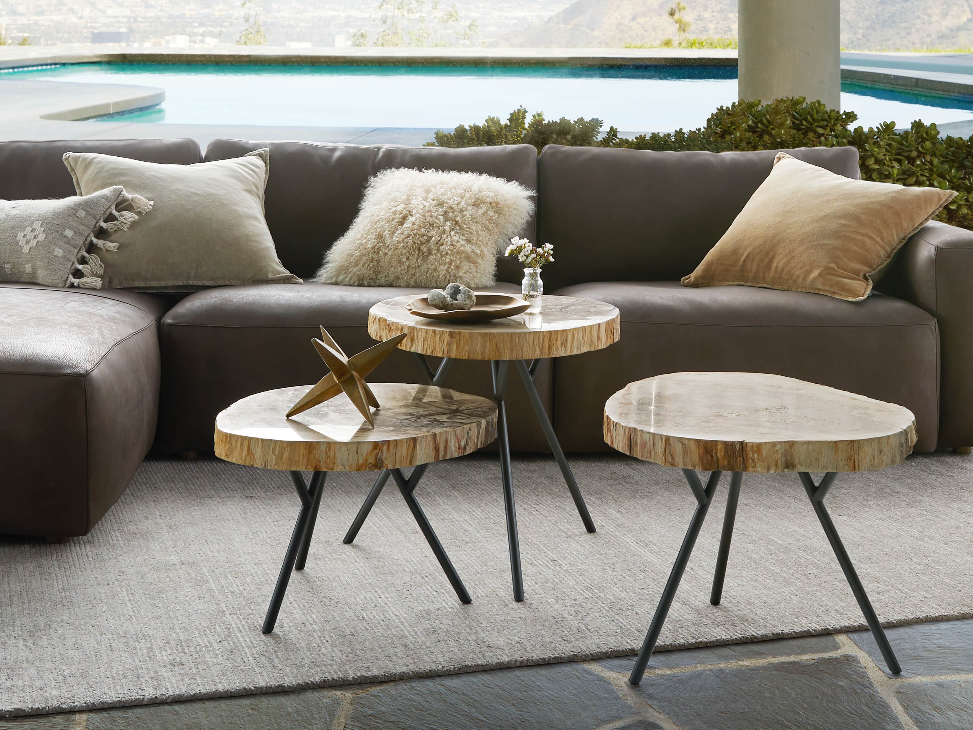 Mangata Petrified Wood Table Duo with 16" and 18" Bases, slide 1 of 5
