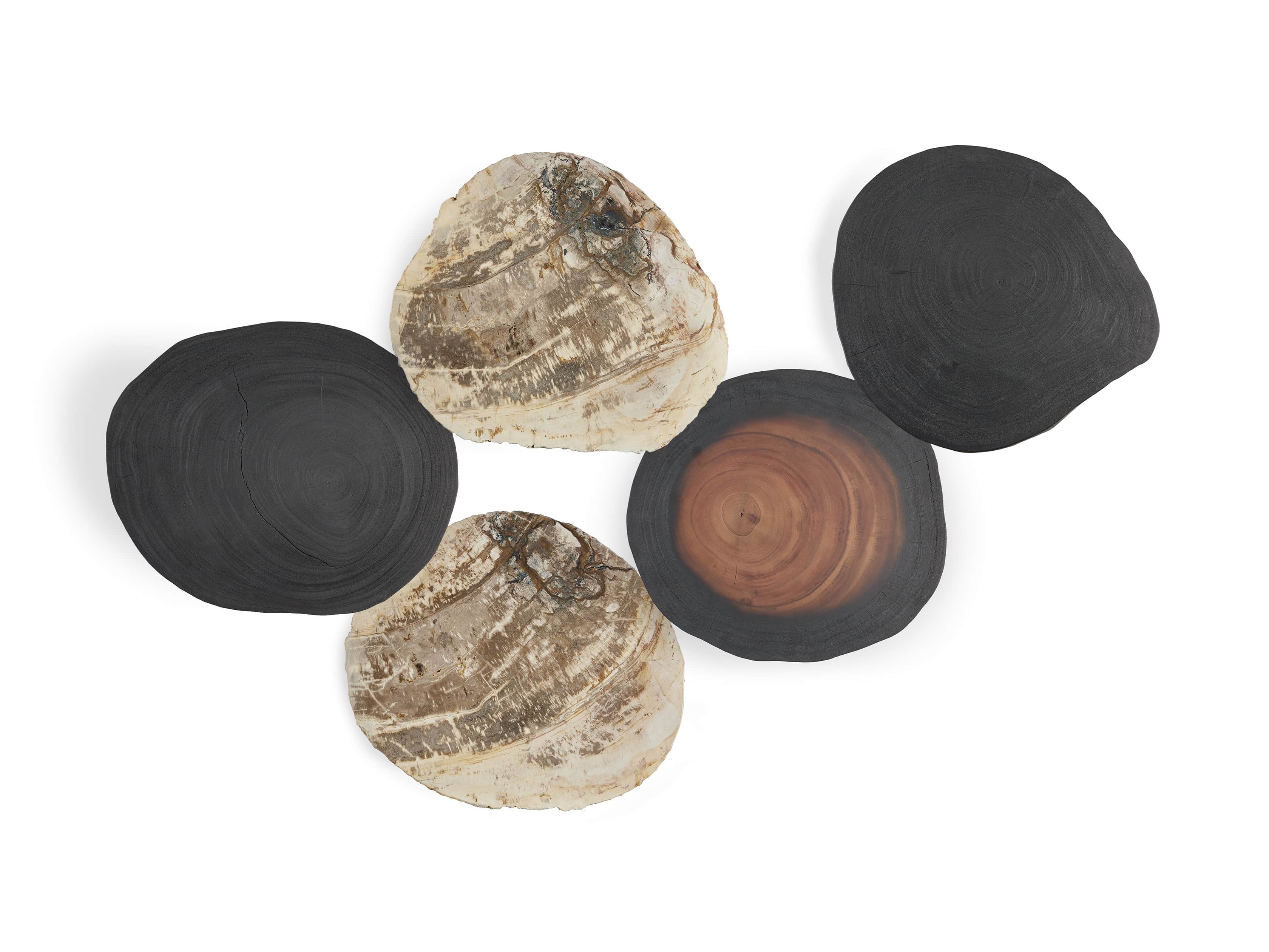 Mangata Full Shou Sugi Ban Suar (x2), Petrified Wood (x2), and Half Shou Sugi Ban Suar Table Quintet