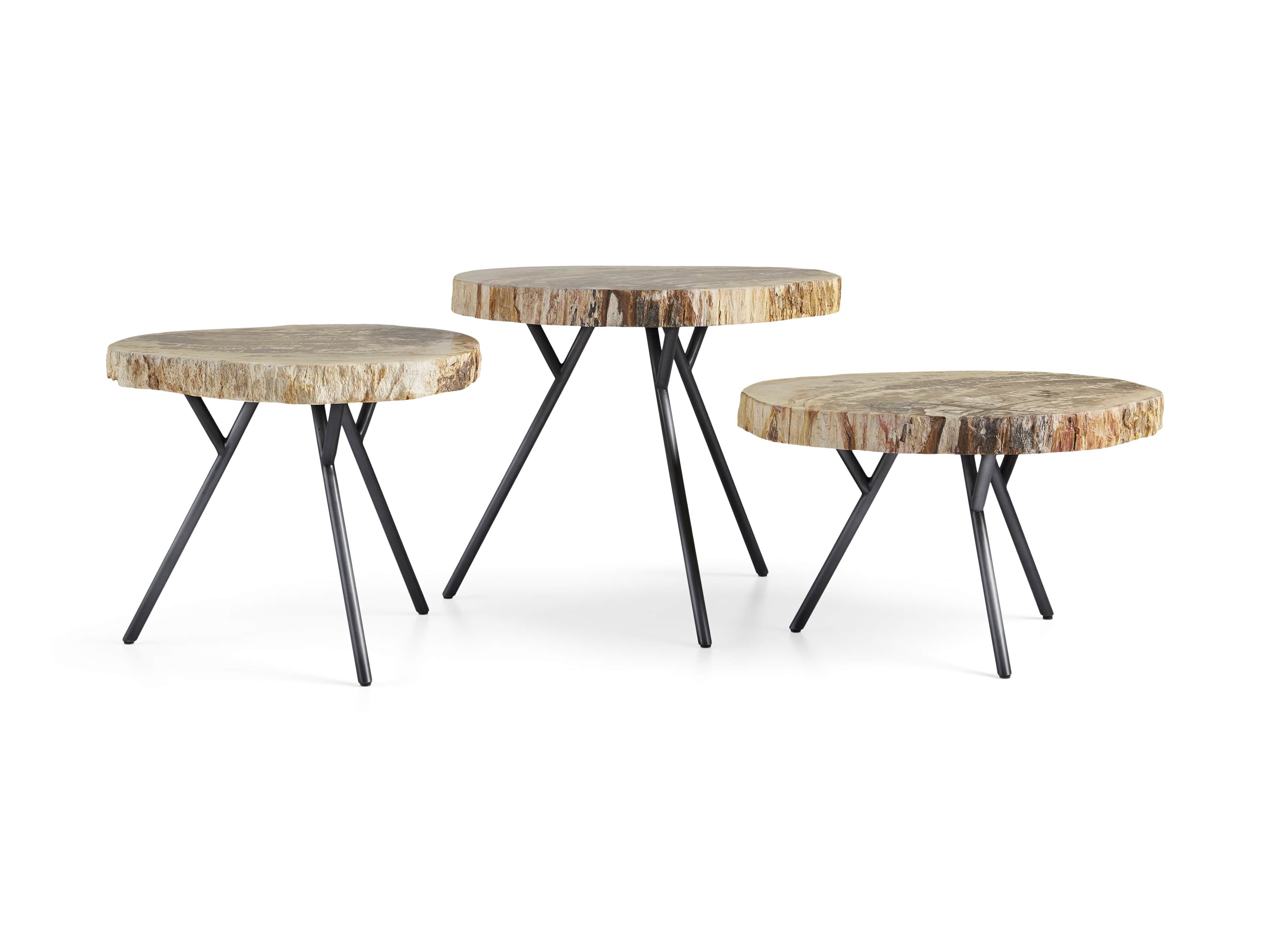 Mangata Petrified Wood Table Trio with 14", 16", and 18" Bases