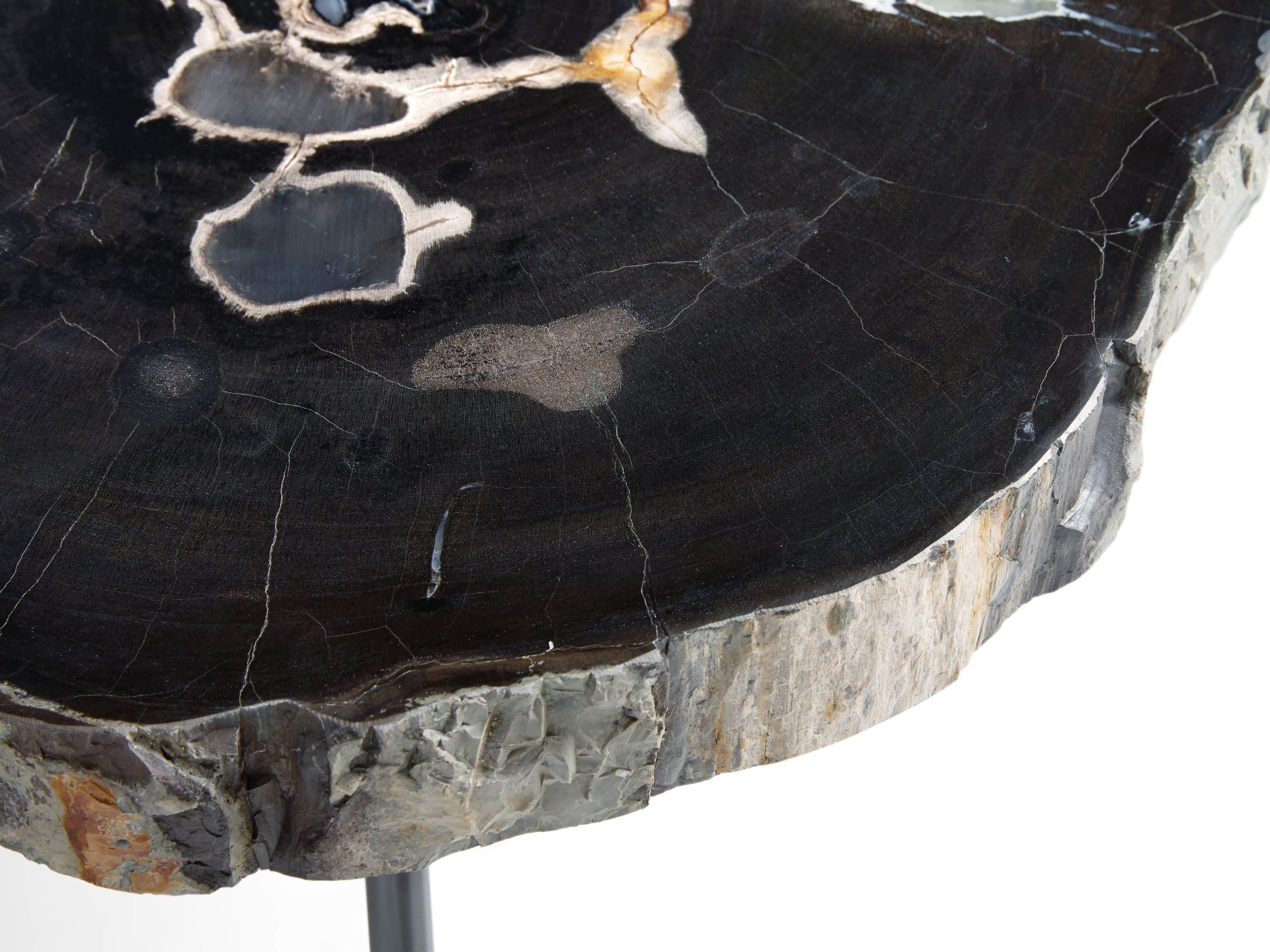 Trio Petrified Coffee Table Set in Black