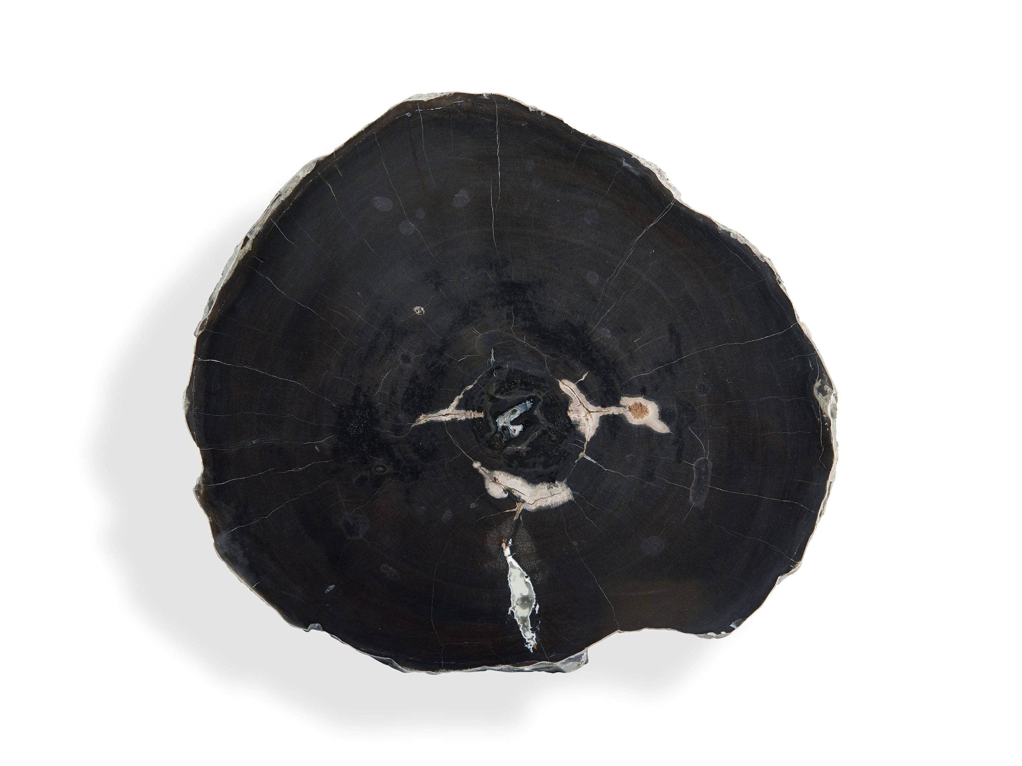 Trio Petrified Coffee Table Set in Black