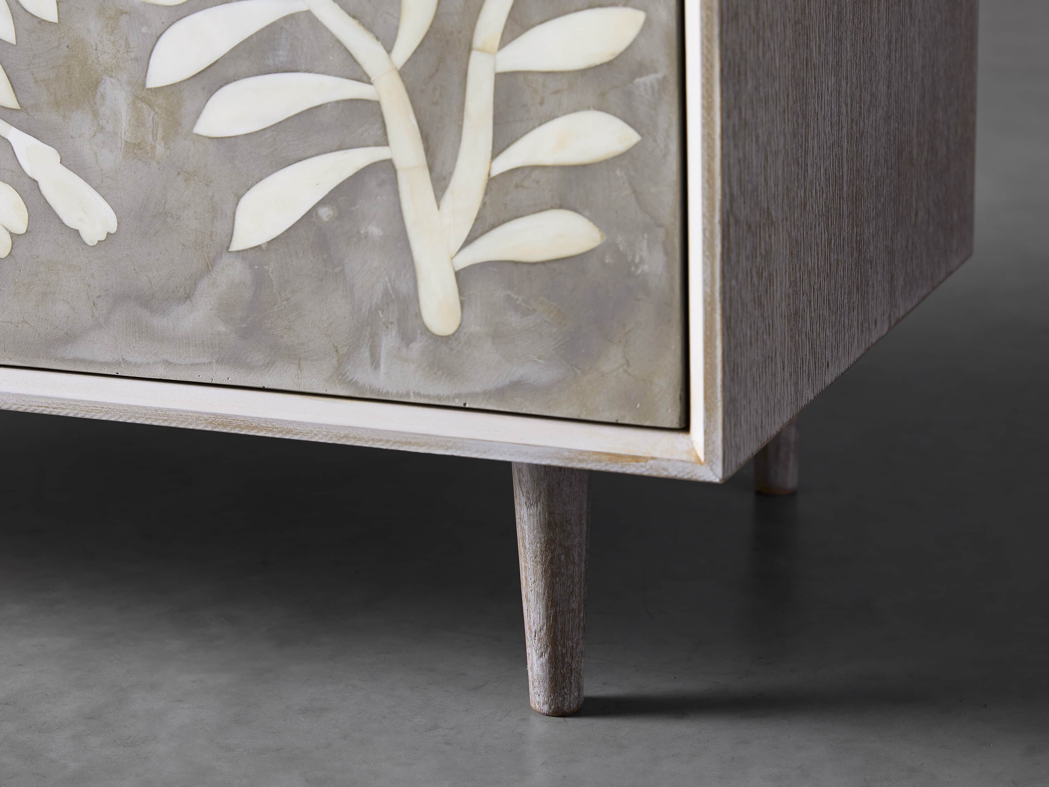 Divya 43" Two Door Cabinet