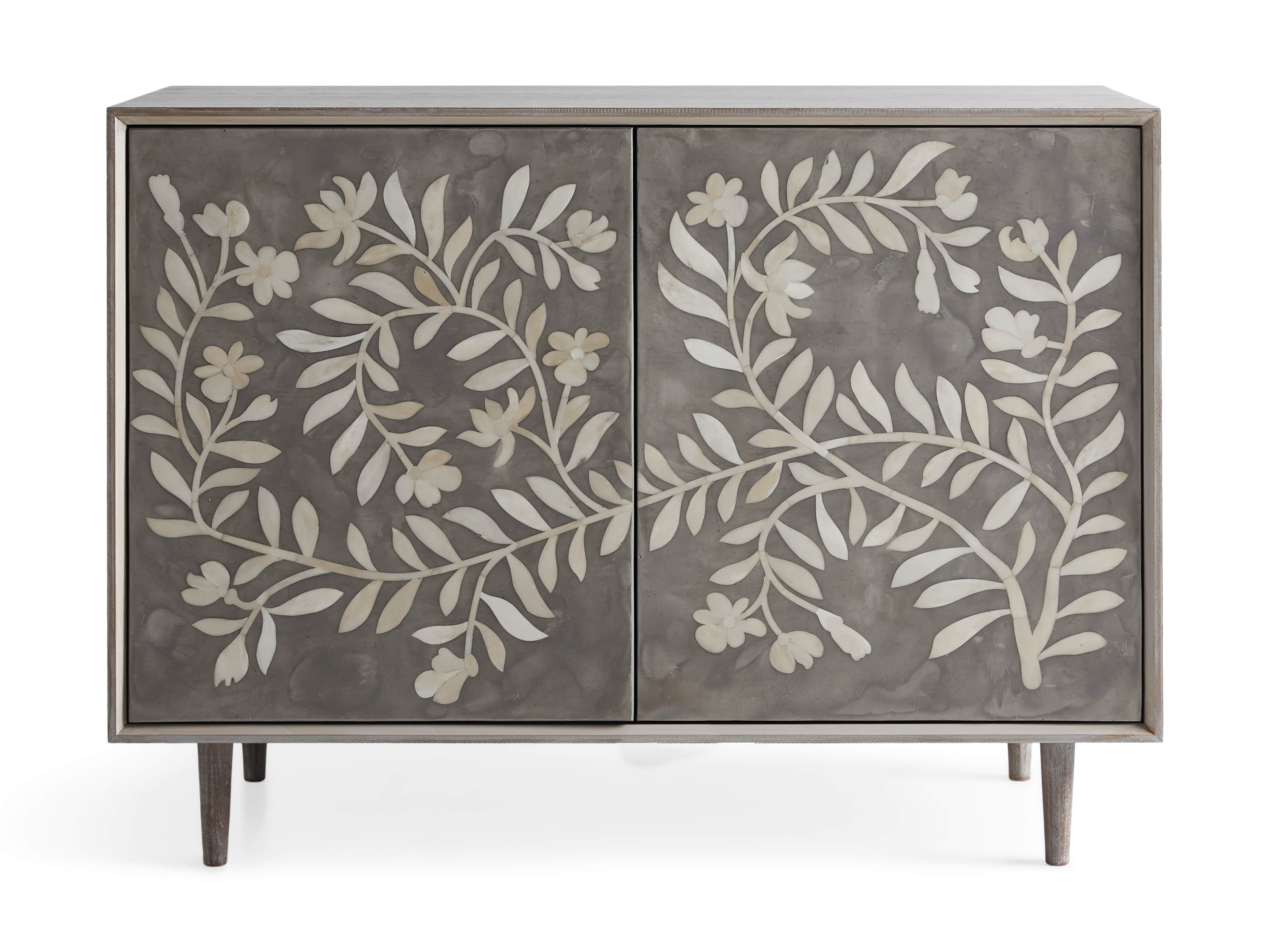 Divya 43" Two Door Cabinet