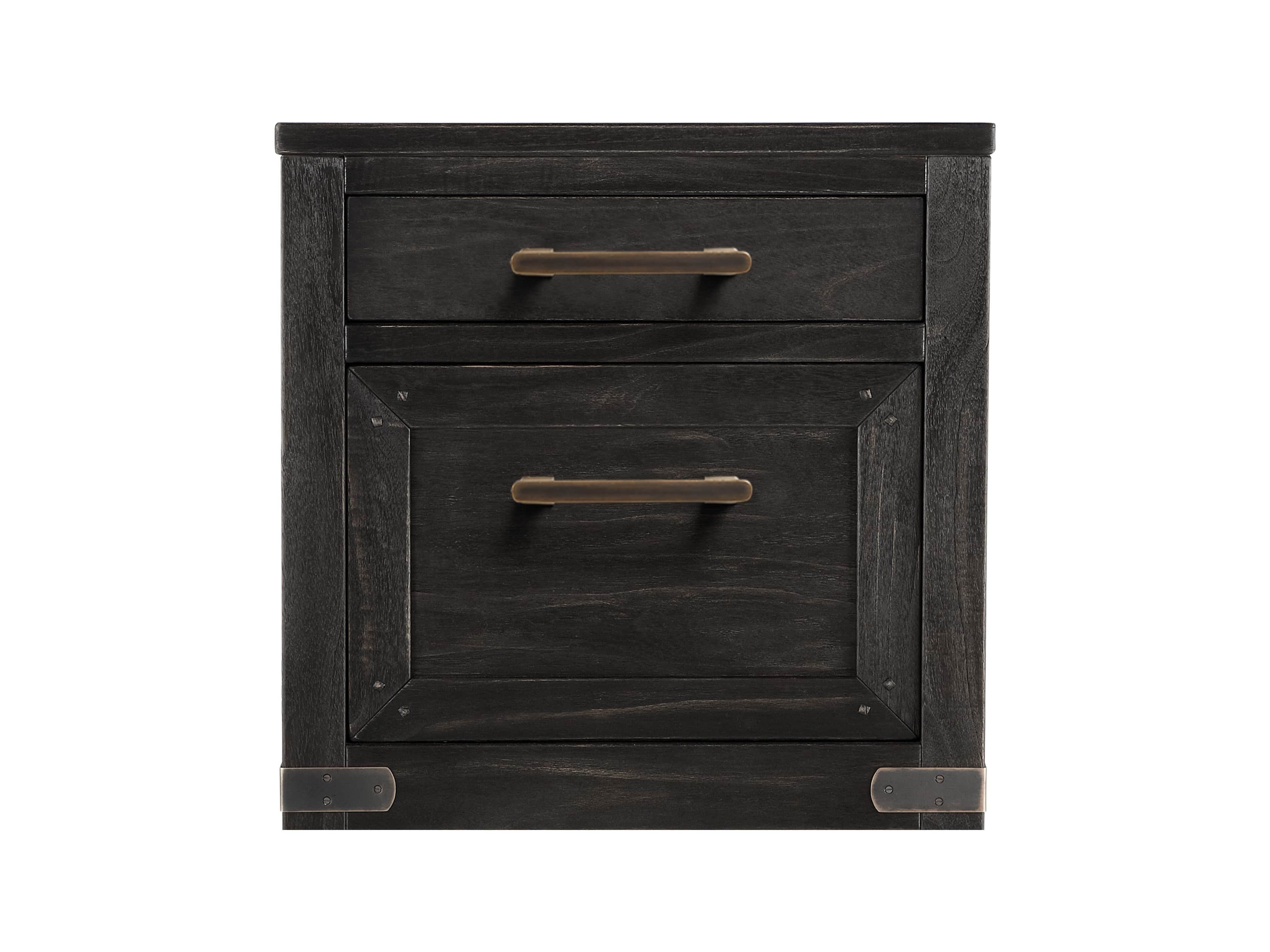 Tremont 22" 2 Drawer File Cabinet in Dry Branch Black