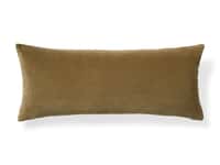 Velvet Pillow Cover in Lichen