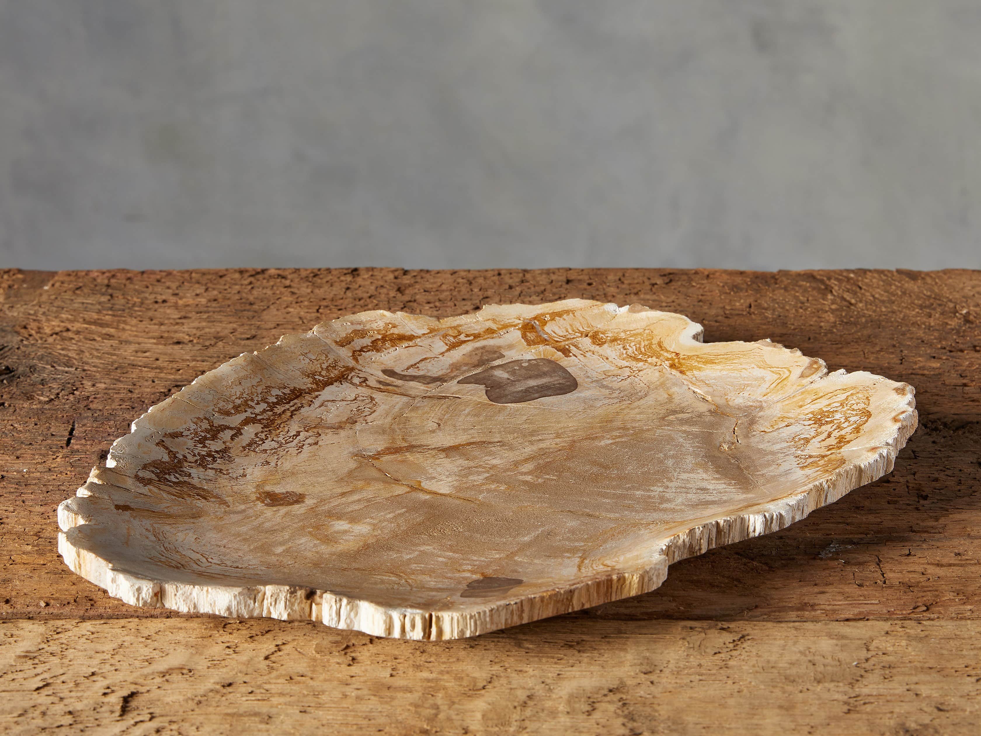 Petrified Wood Platter – Arhaus