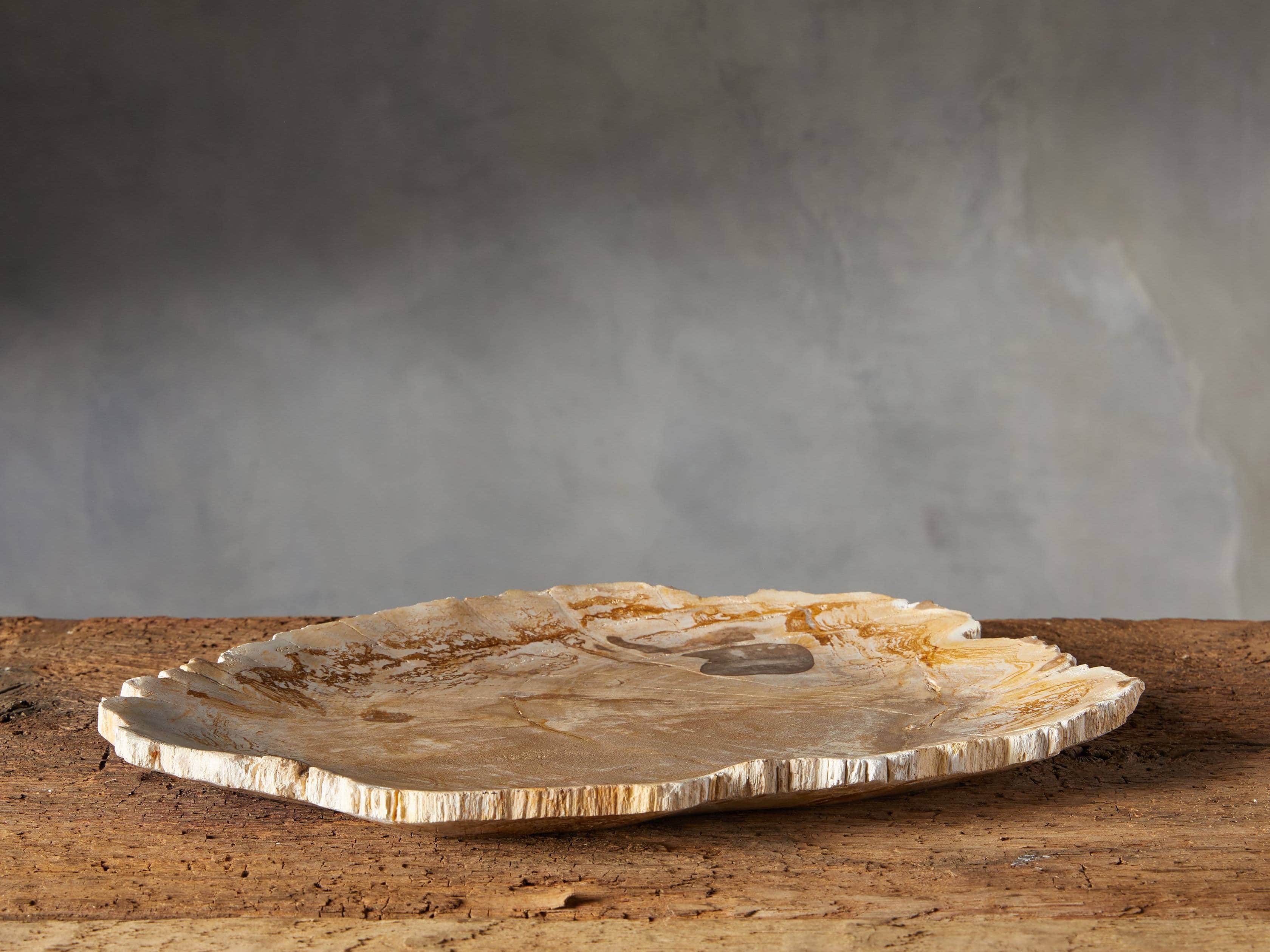 Petrified Wood Decorative Platter, slide 2 of 9