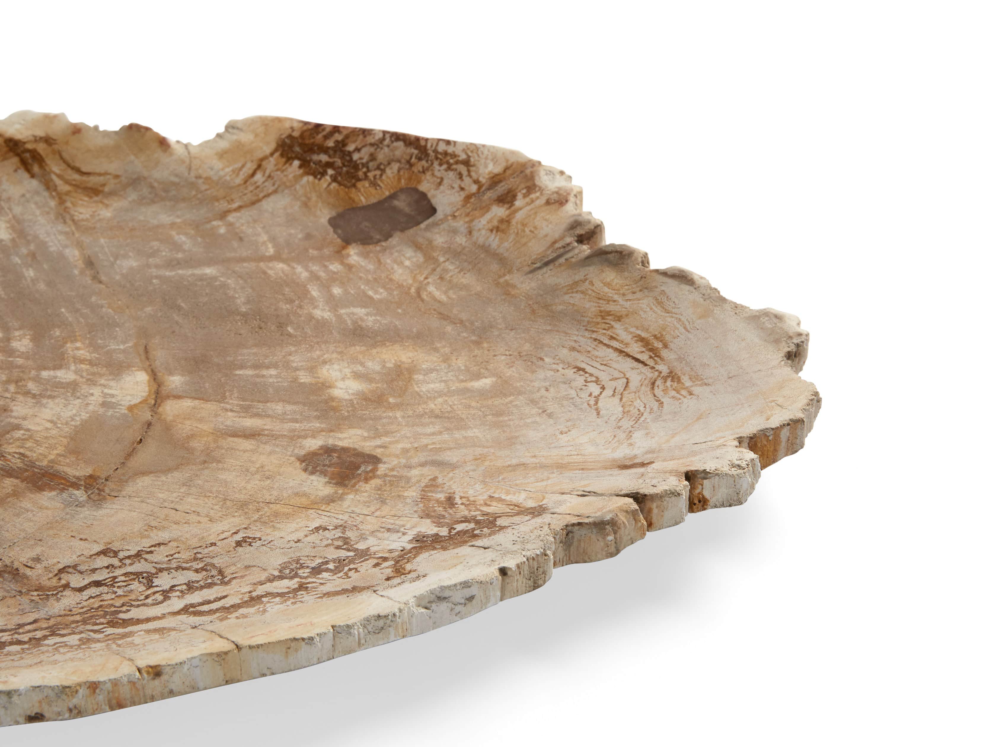 Petrified Wood Platter