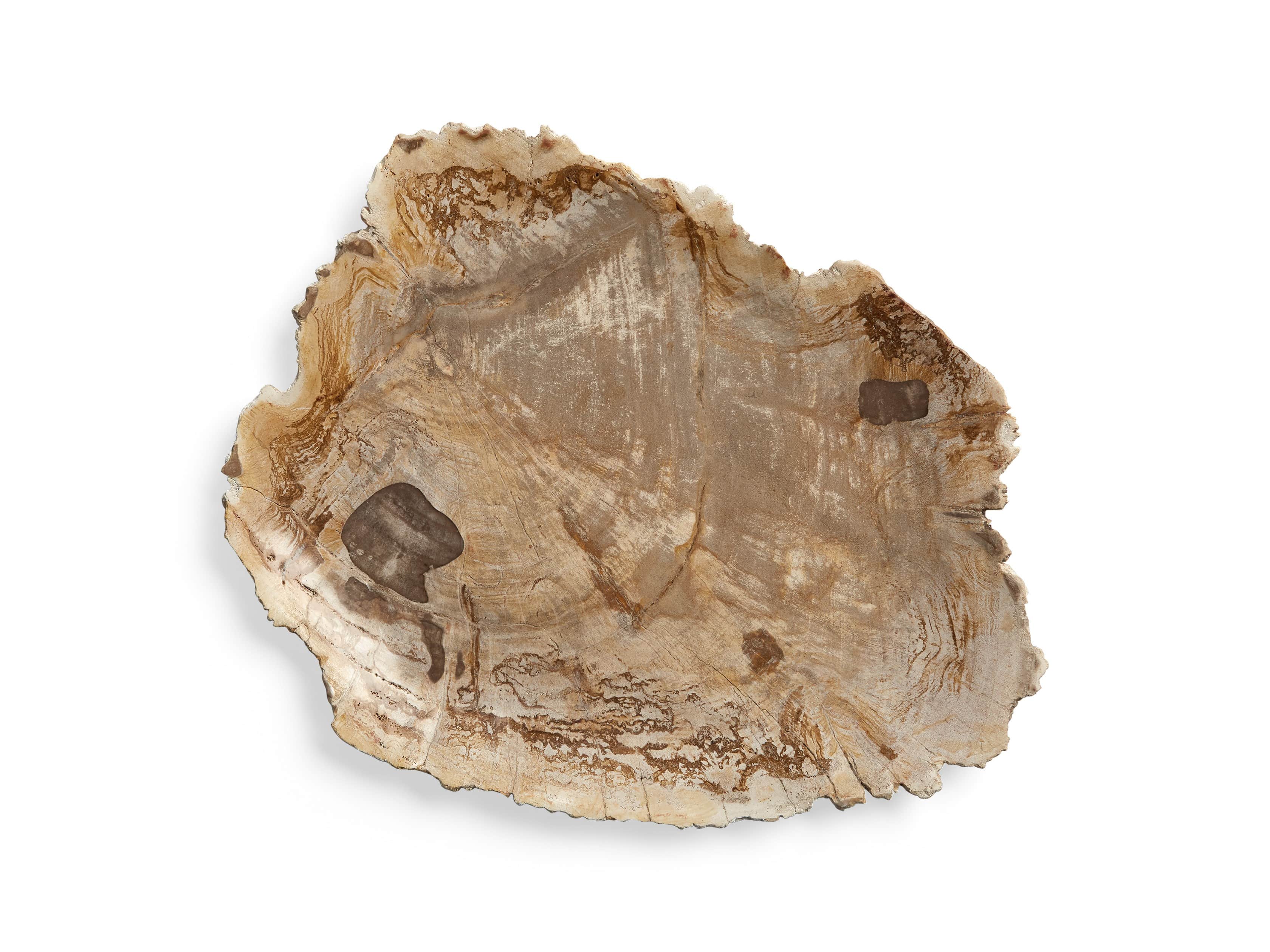 Petrified Wood Decorative Platter, slide 7 of 9