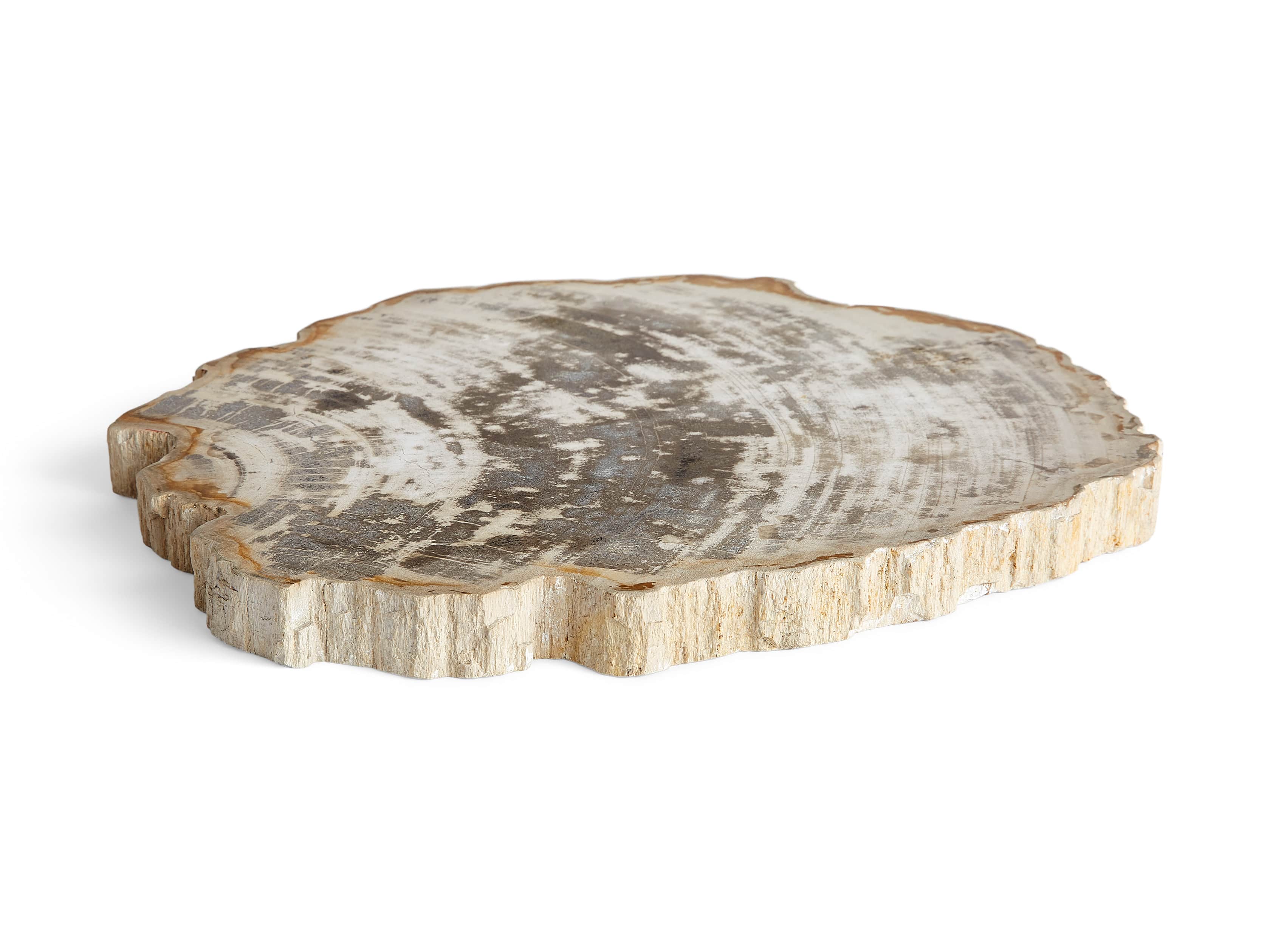 Petrified Wood Slab, slide 3 of 5