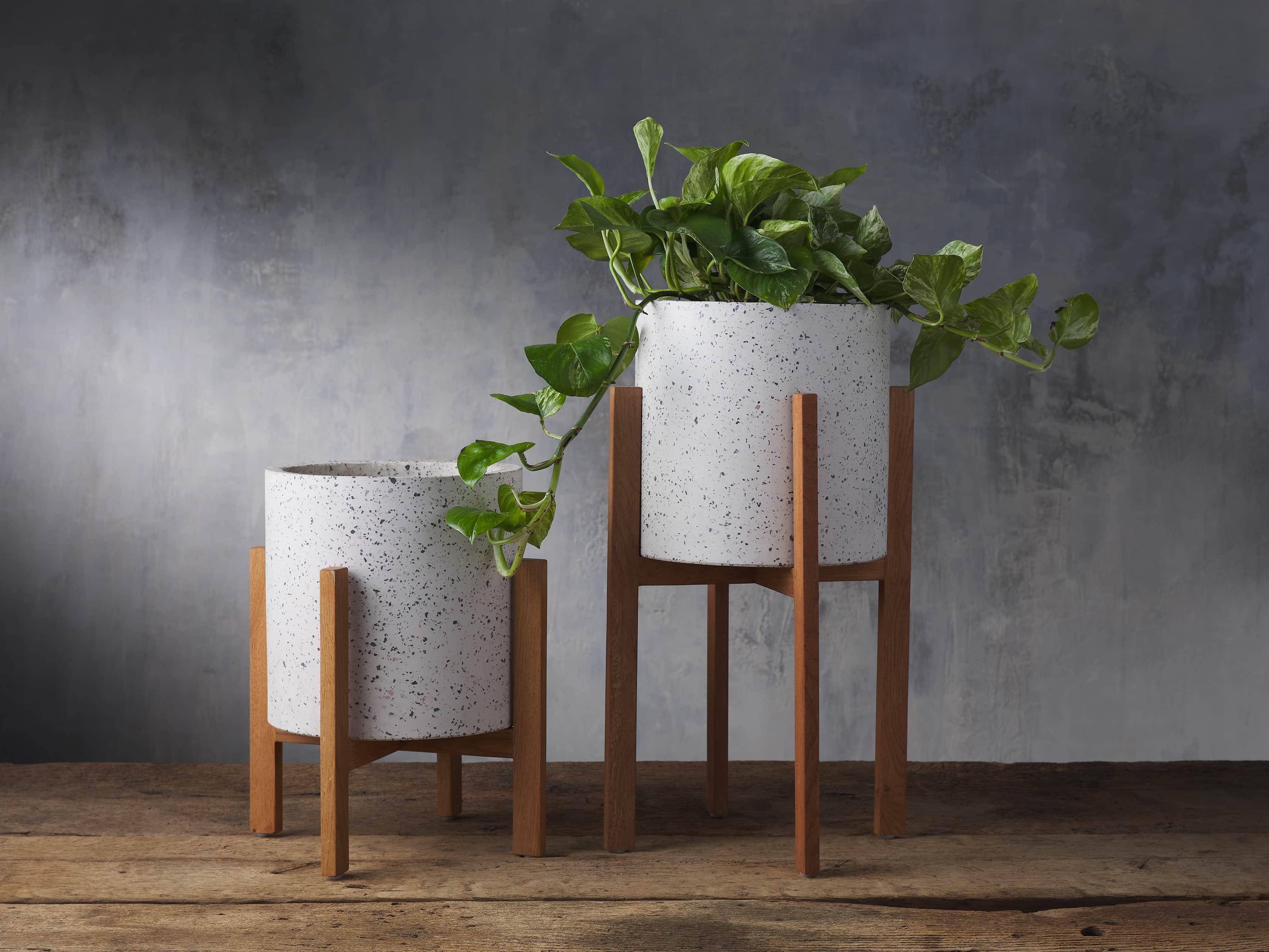 Small Everett Plant Stand, slide 2 of 4