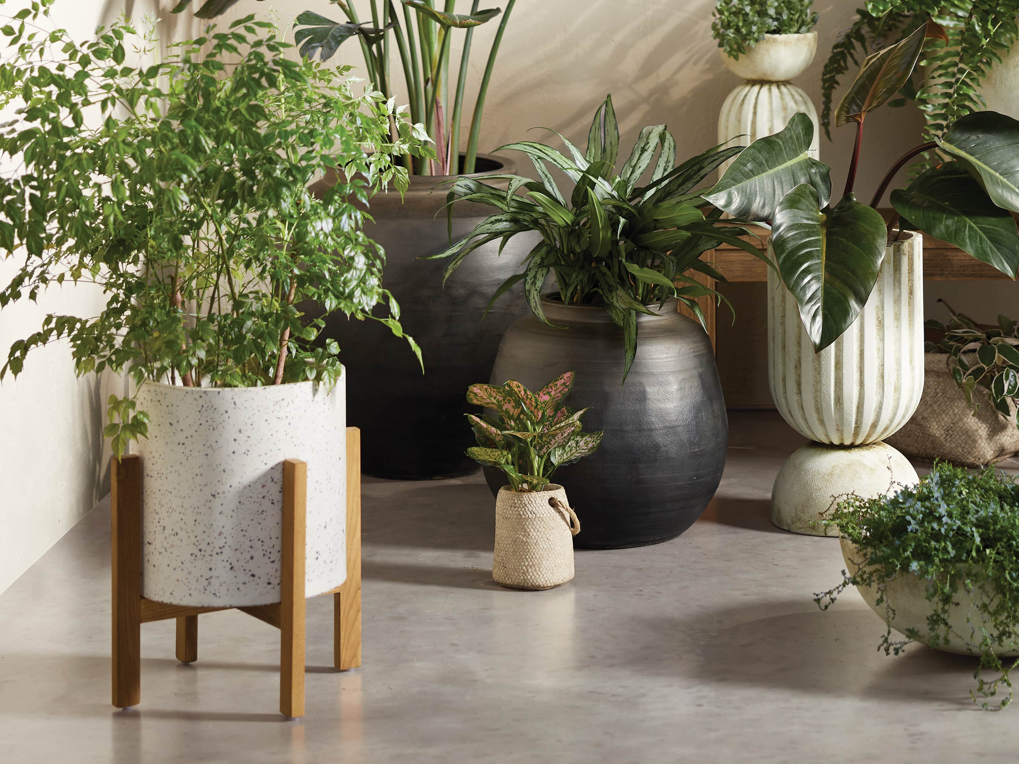Small Everett Plant Stand, slide 3 of 4