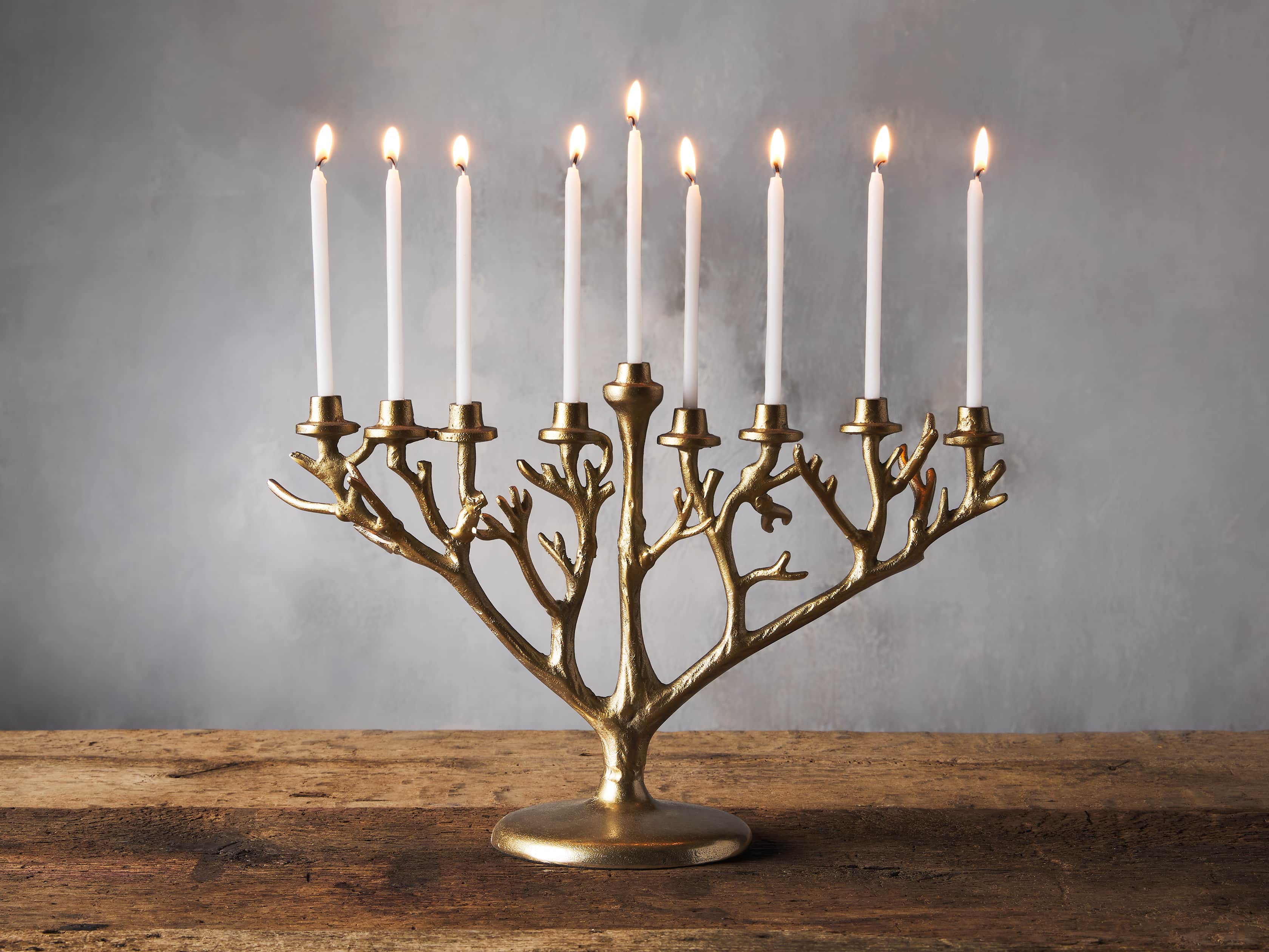 Branch Menorah, slide 1 of 2