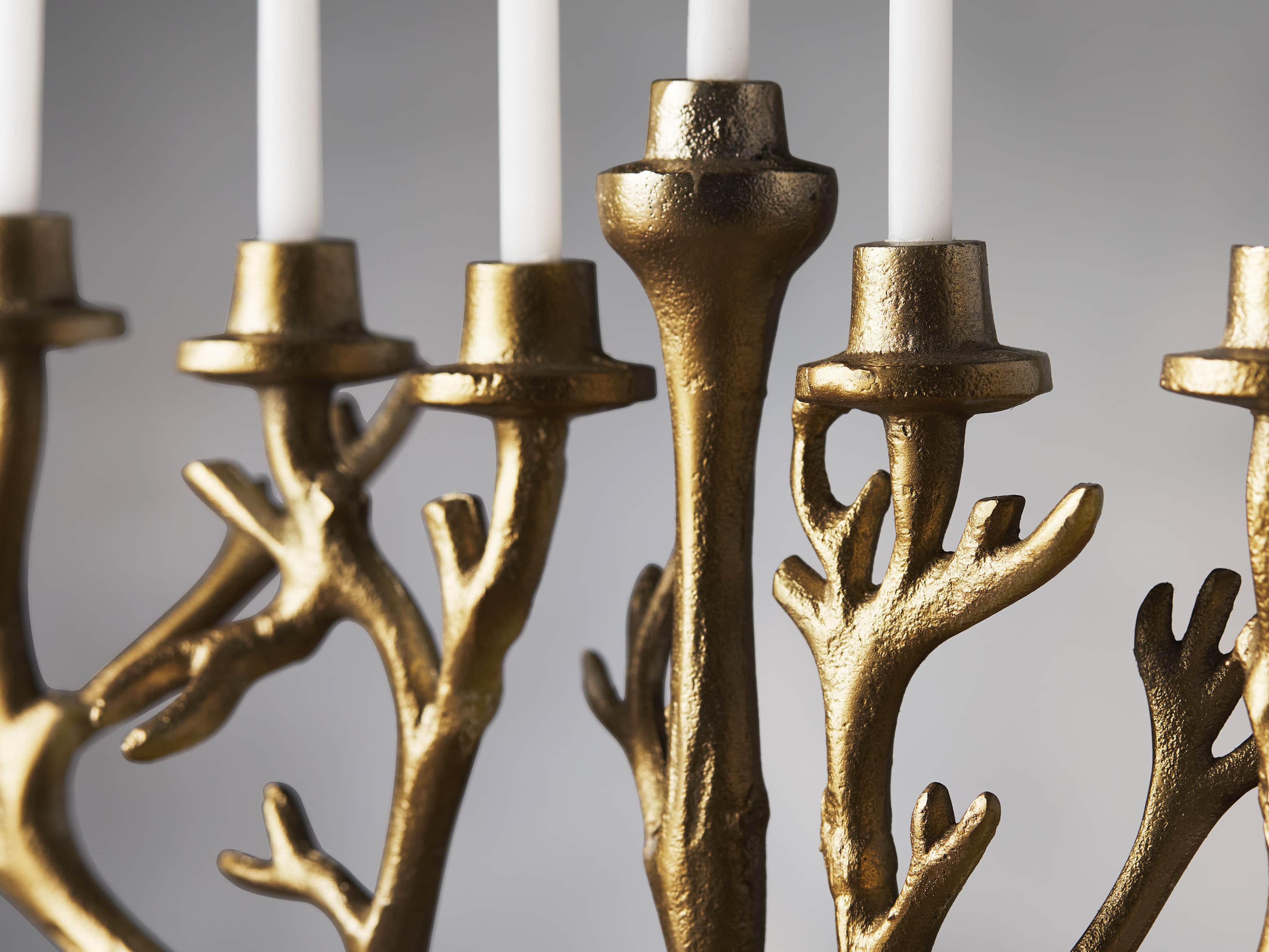 Branch Menorah, slide 2 of 2
