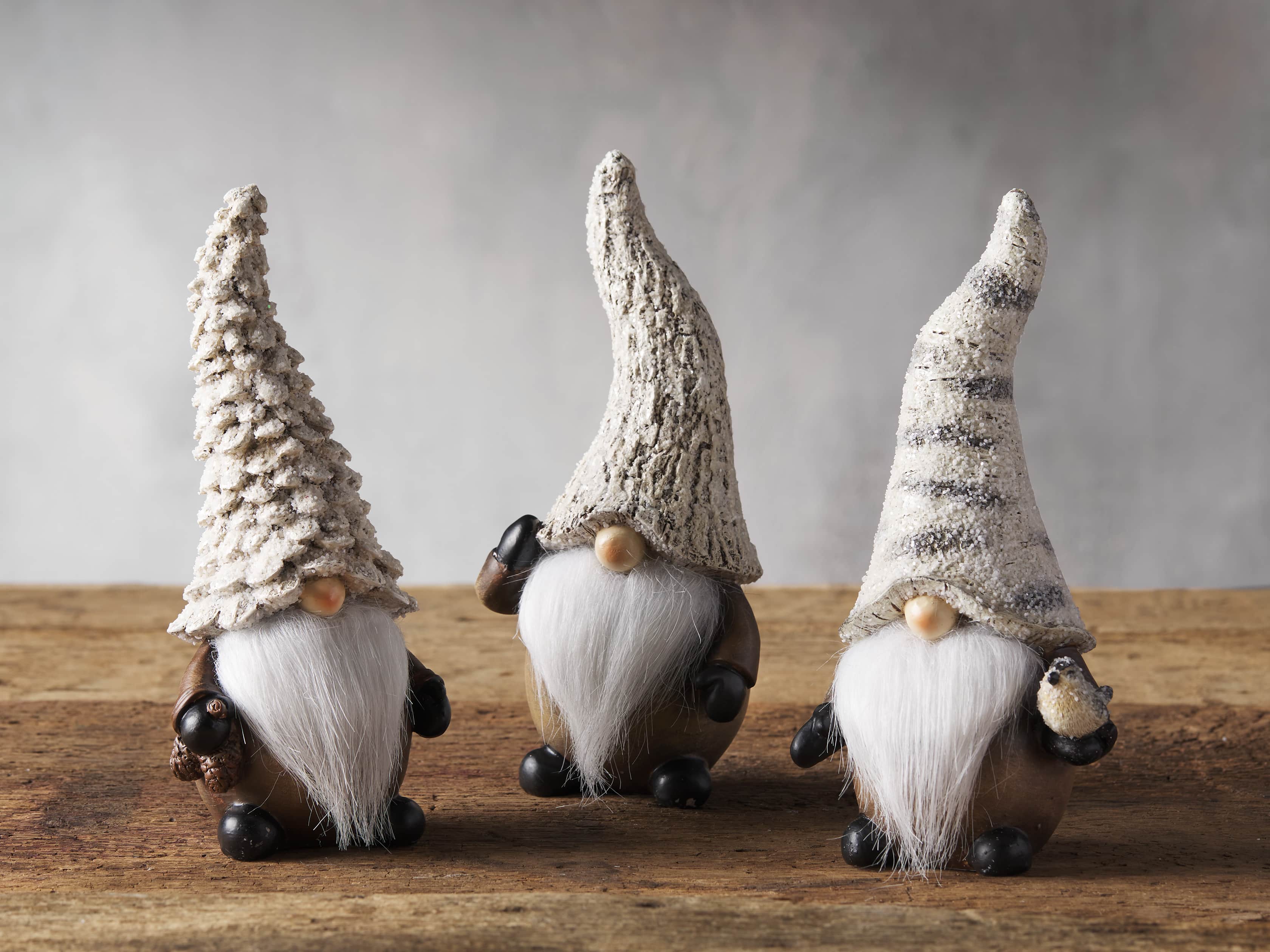 Pinecone Gnome, slide 2 of 2