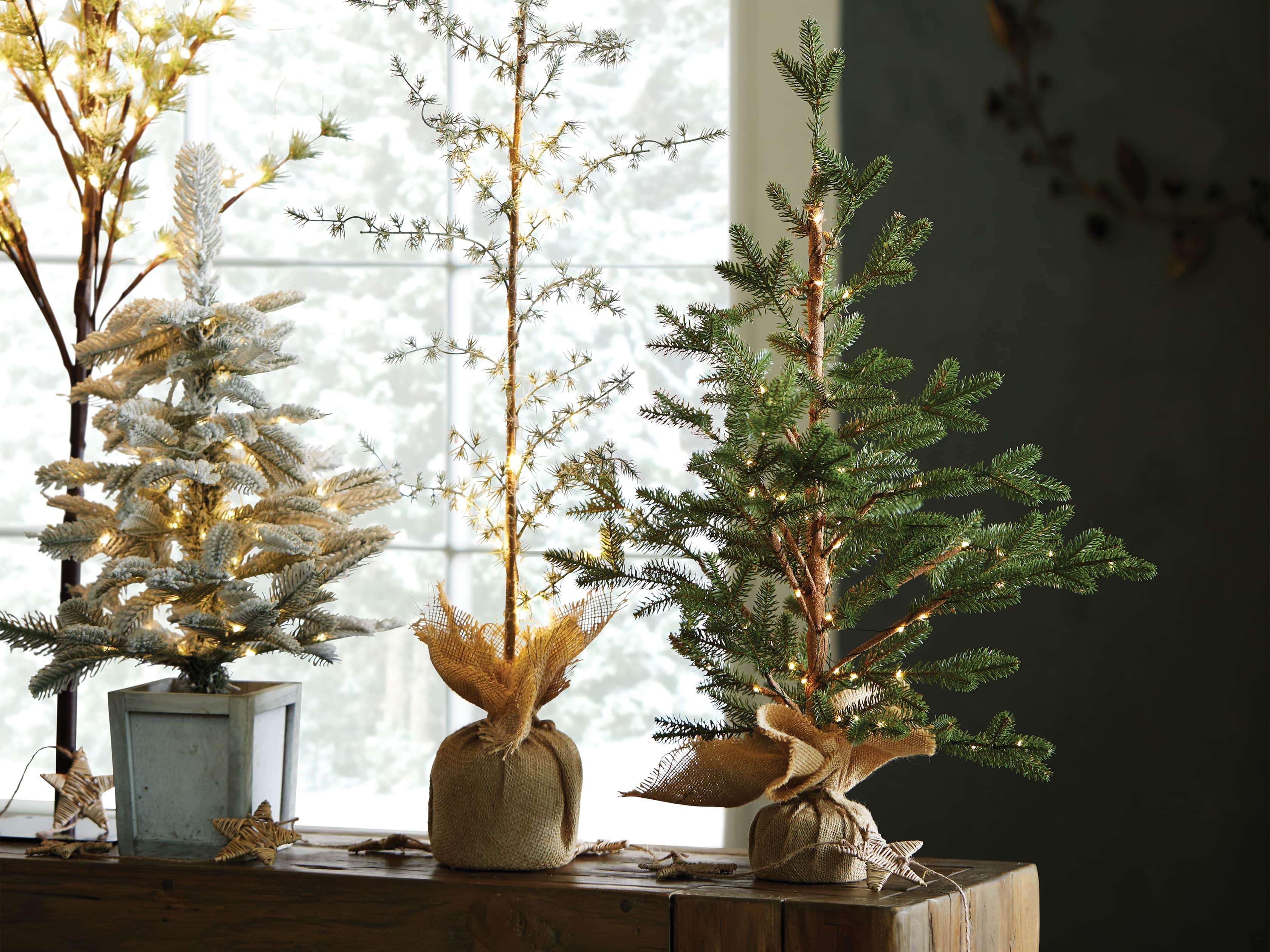 Evergreen Lit Tree, slide 3 of 3