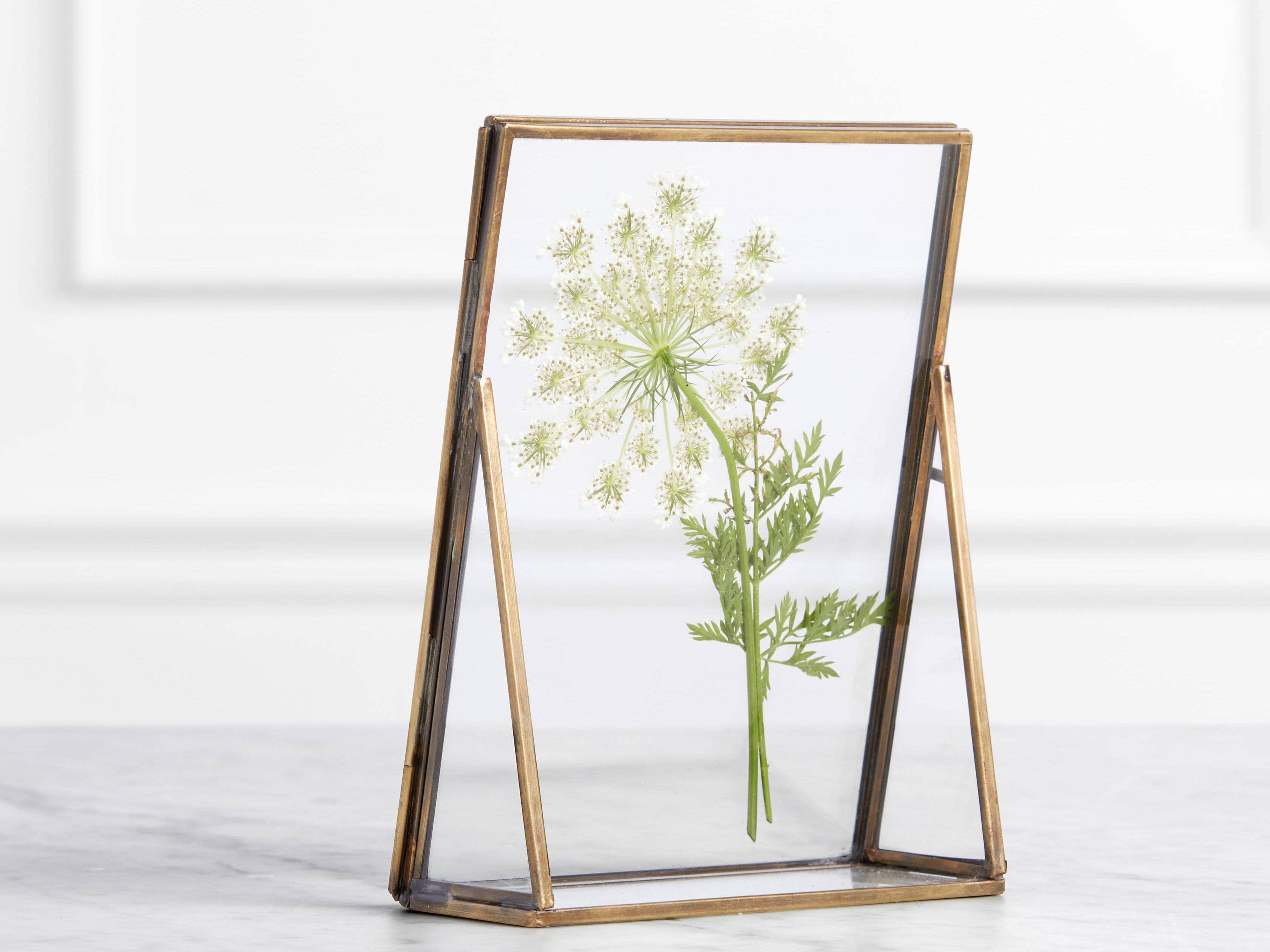 Jules Frame