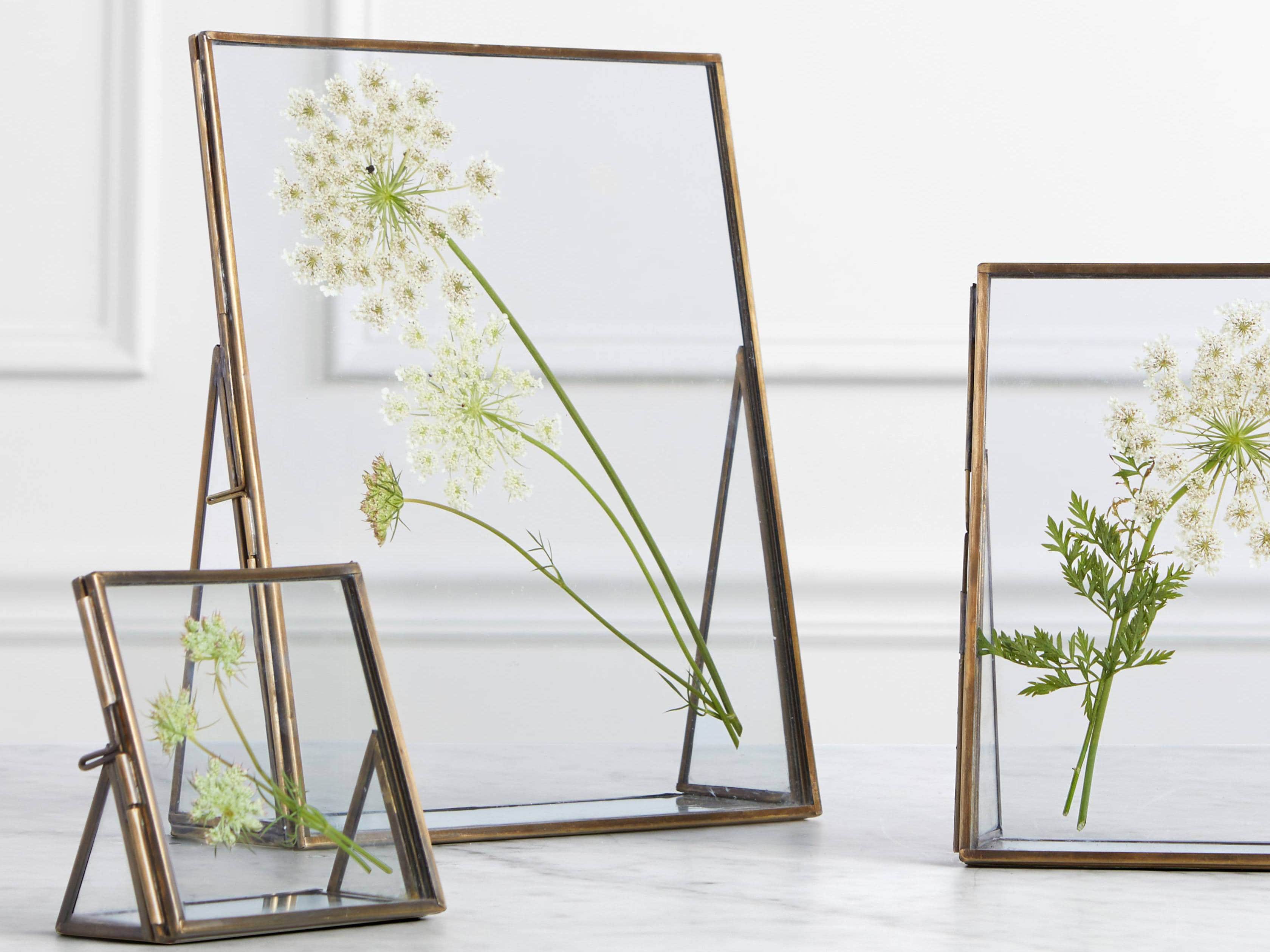 Jules Frame