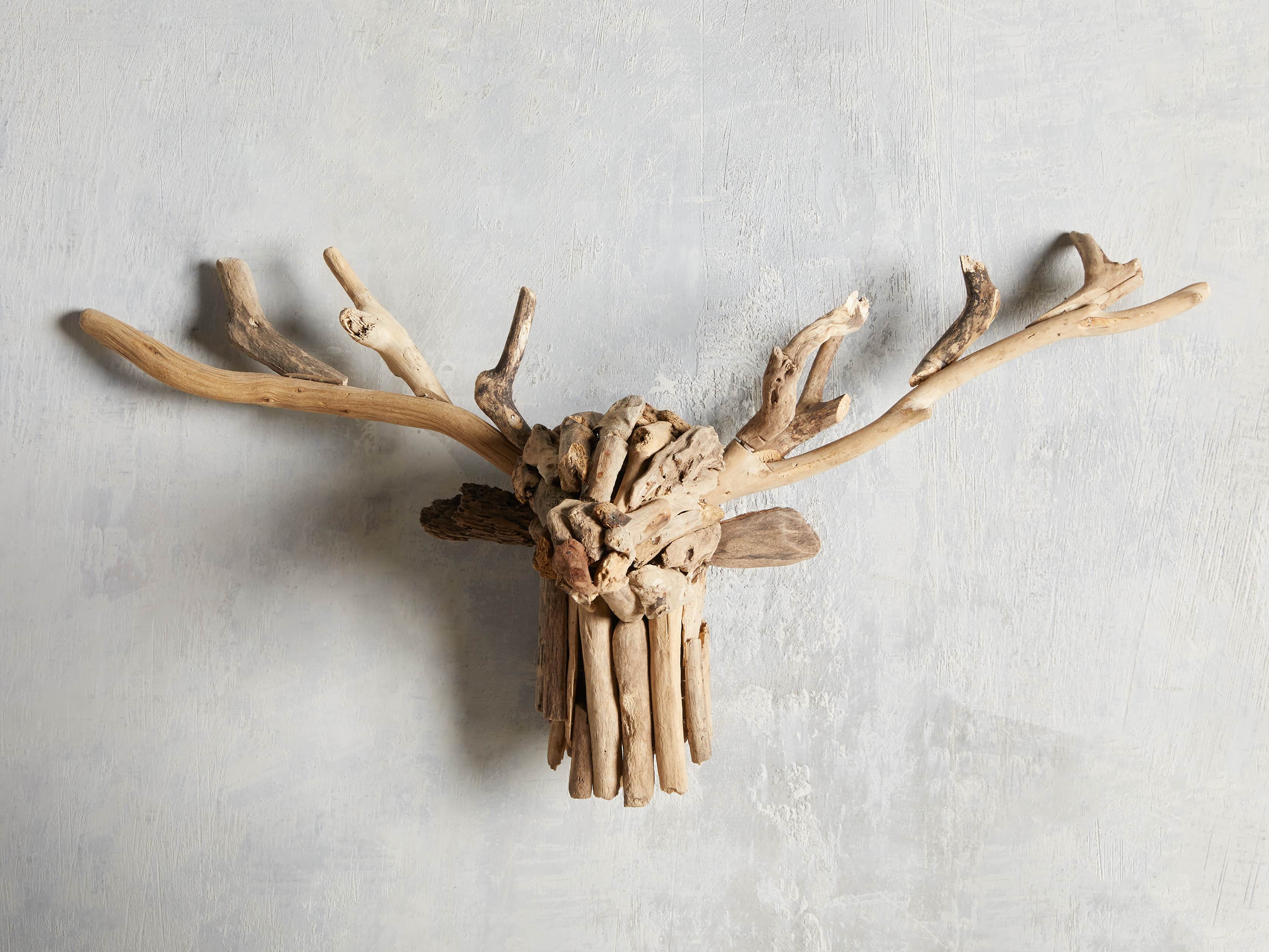 Large Reclaimed Driftwood Stag Head, slide 1 of 3