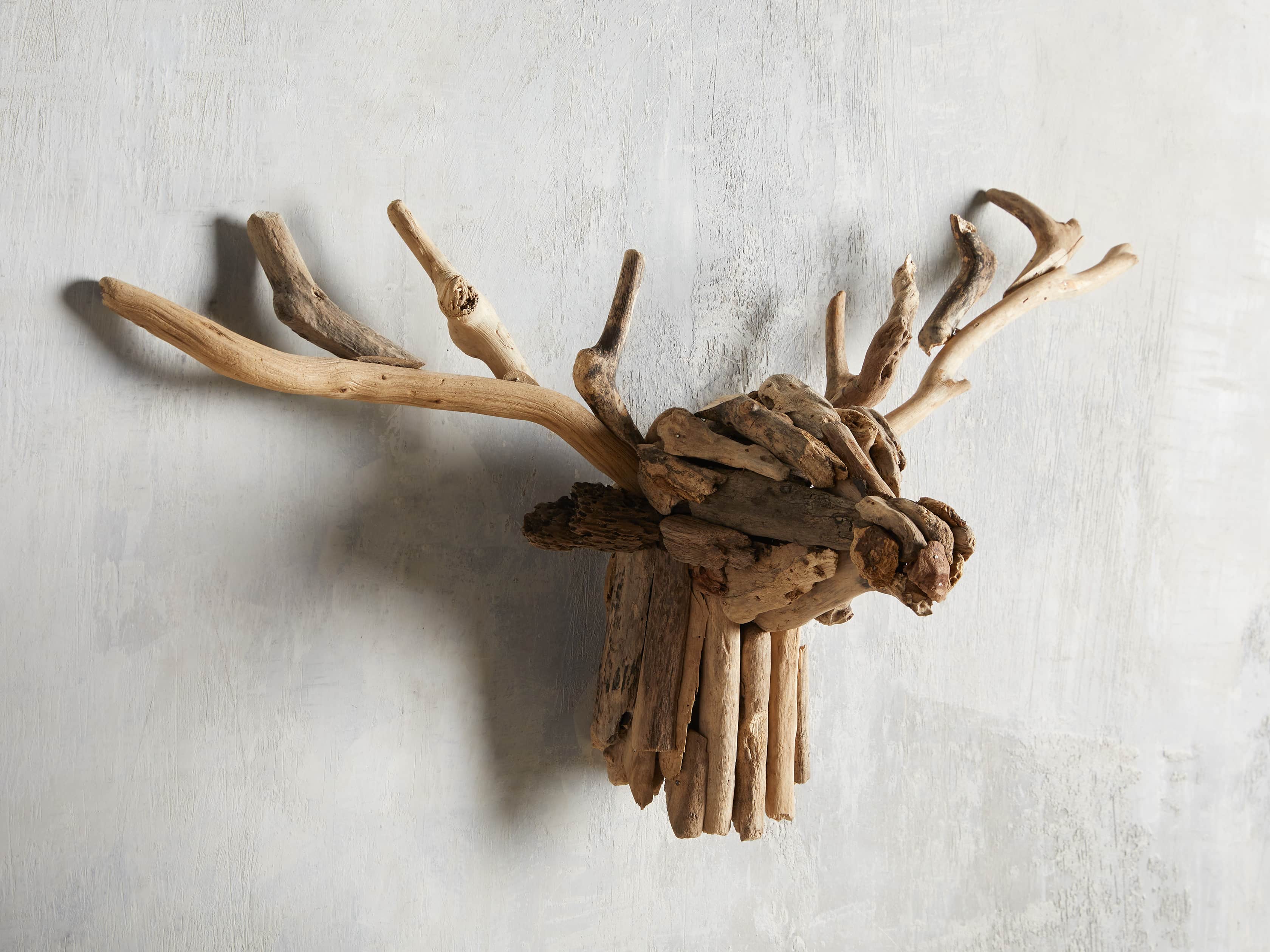 Large Reclaimed Driftwood Stag Head, slide 2 of 3