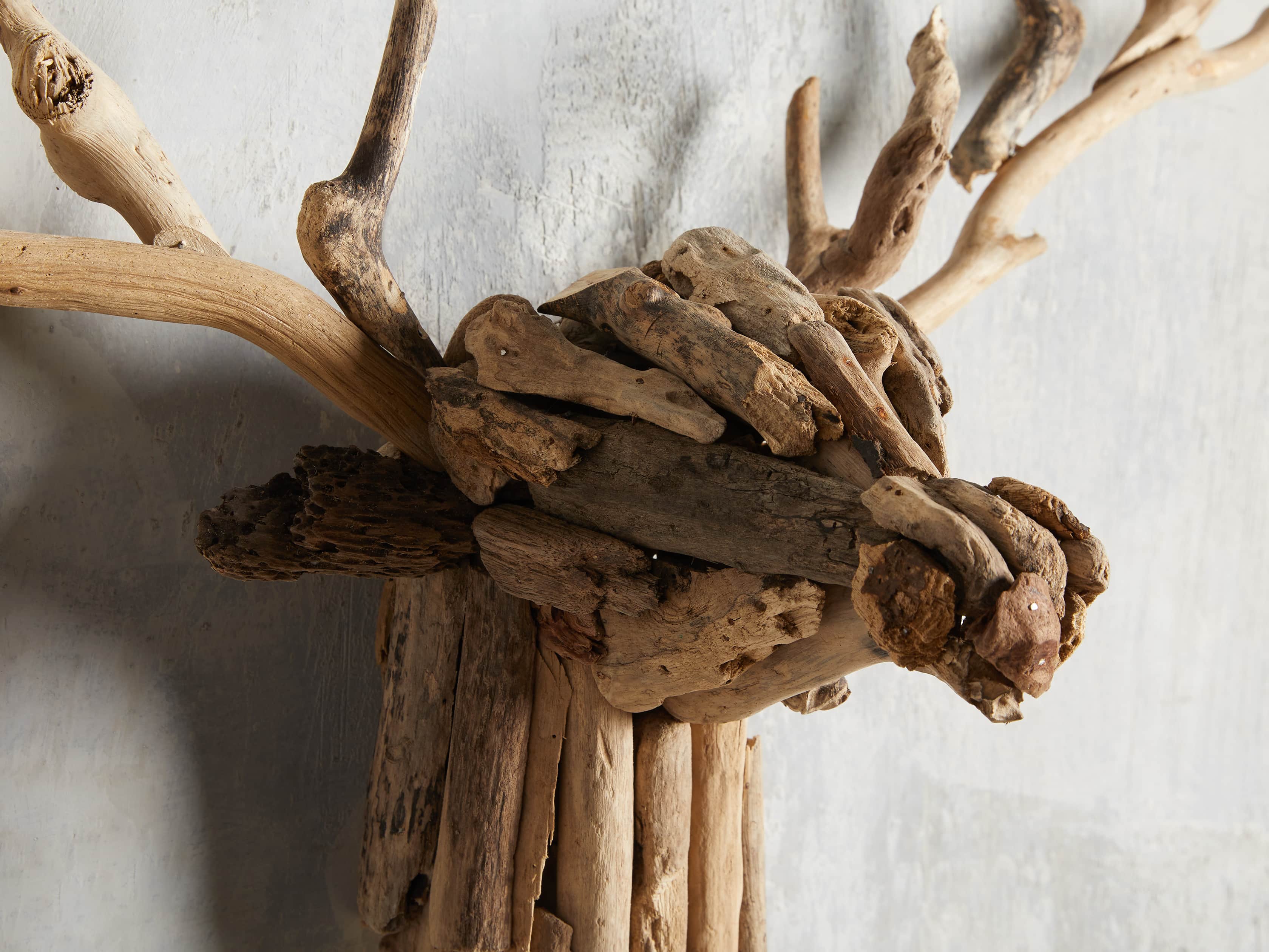 Large Reclaimed Driftwood Stag Head, slide 3 of 3