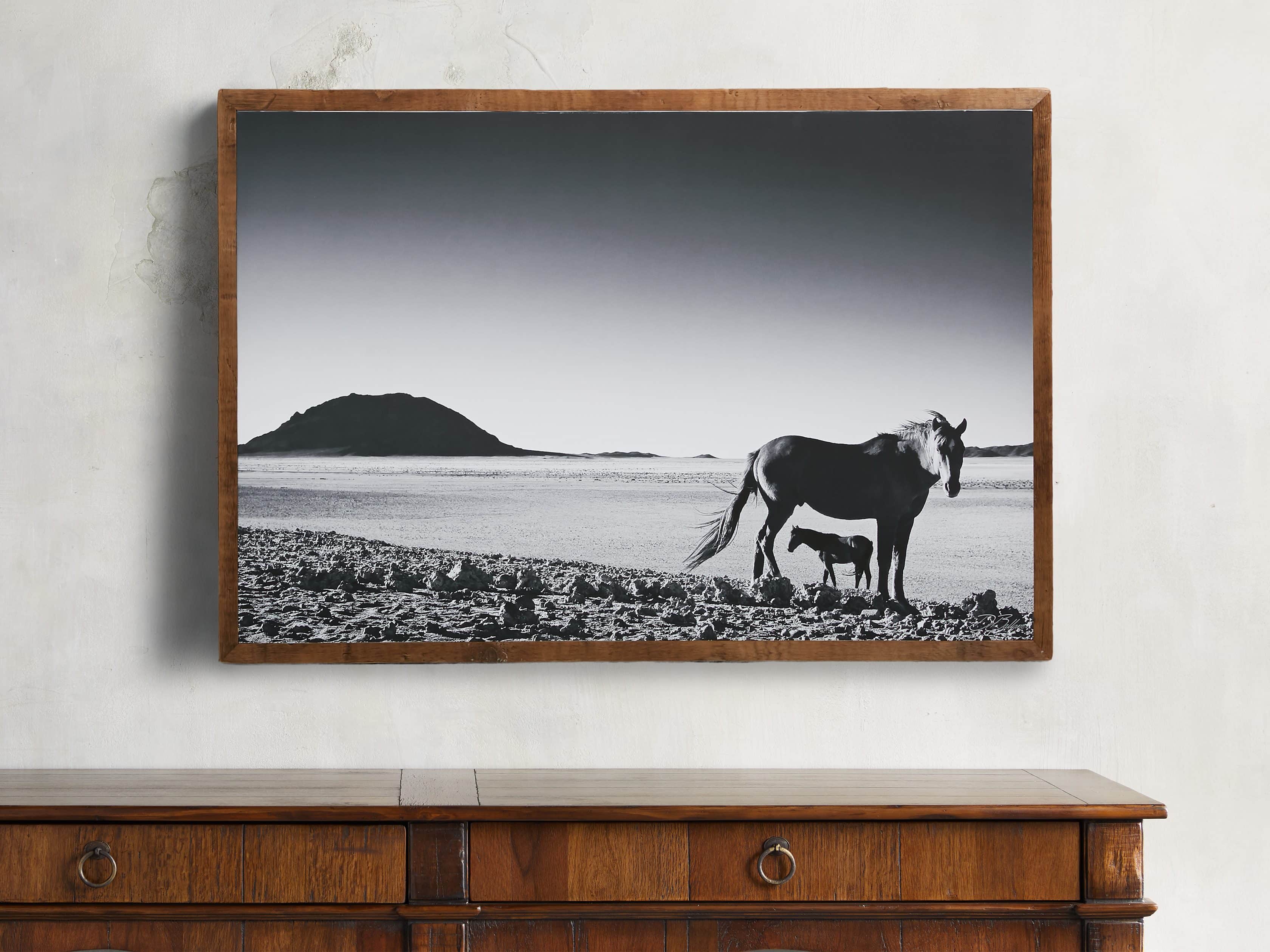 47" Foal Framed Print, slide 1 of 5