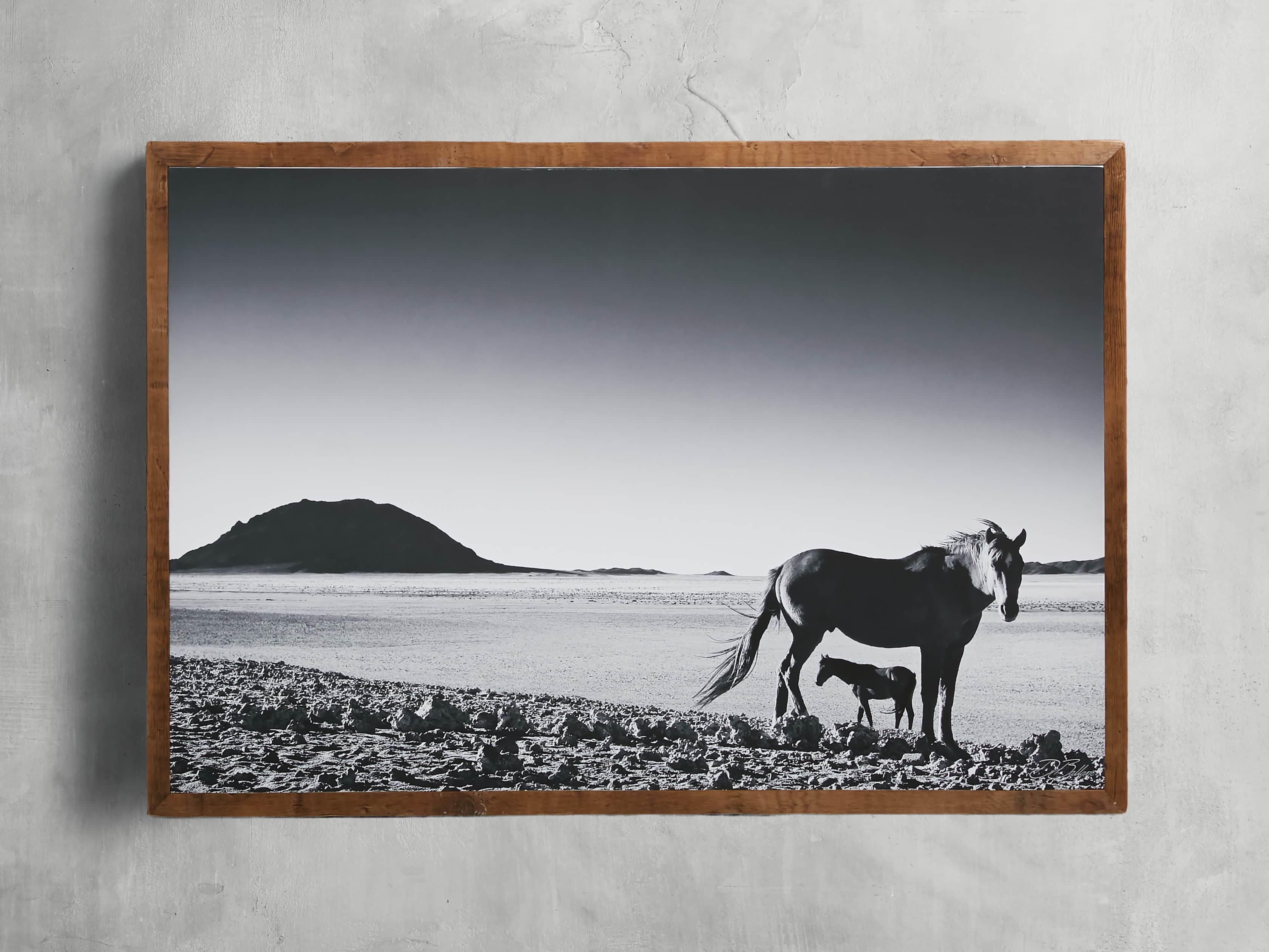 47" Foal Framed Print, slide 3 of 5