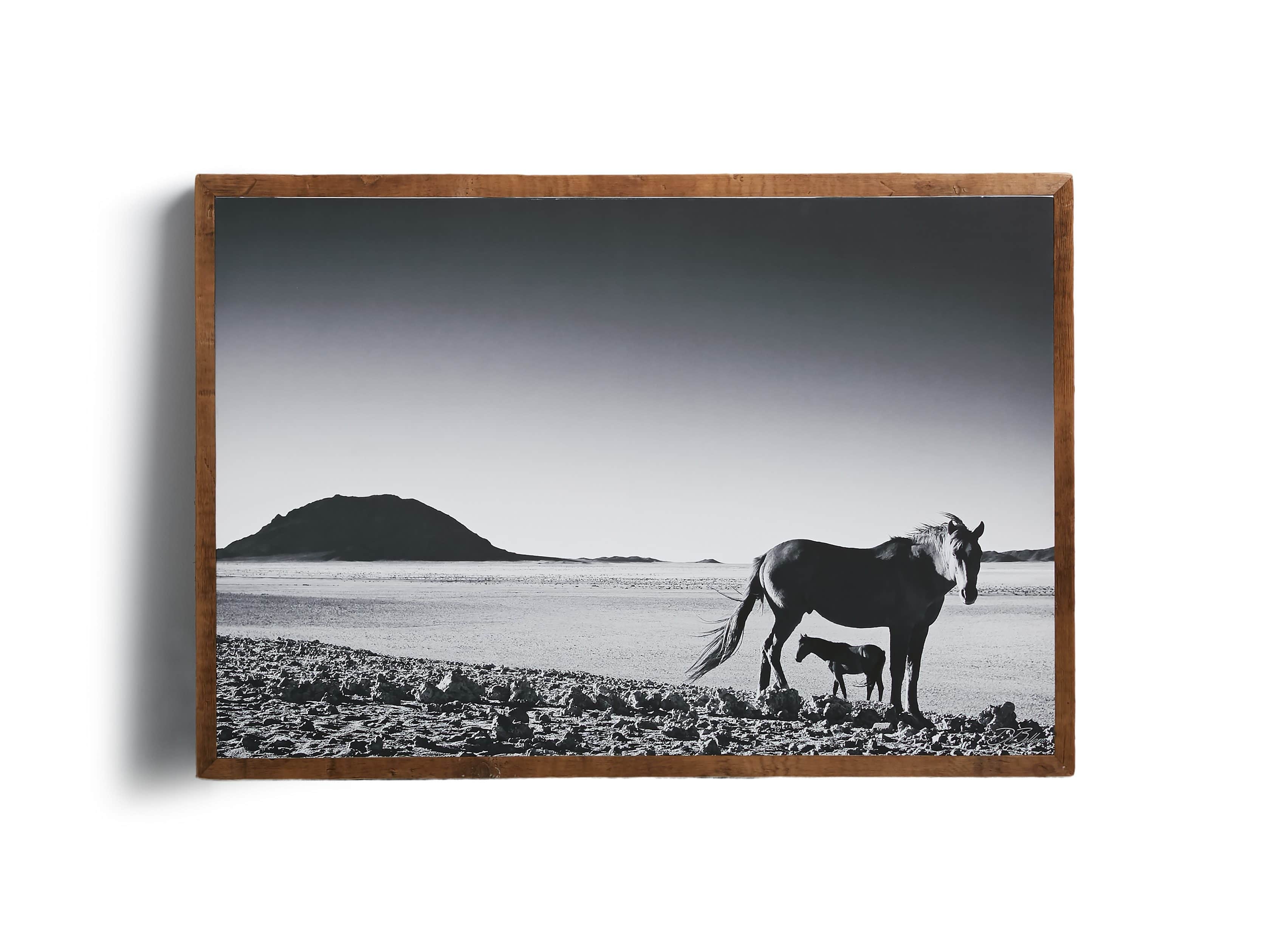 47" Foal Framed Print, slide 5 of 5
