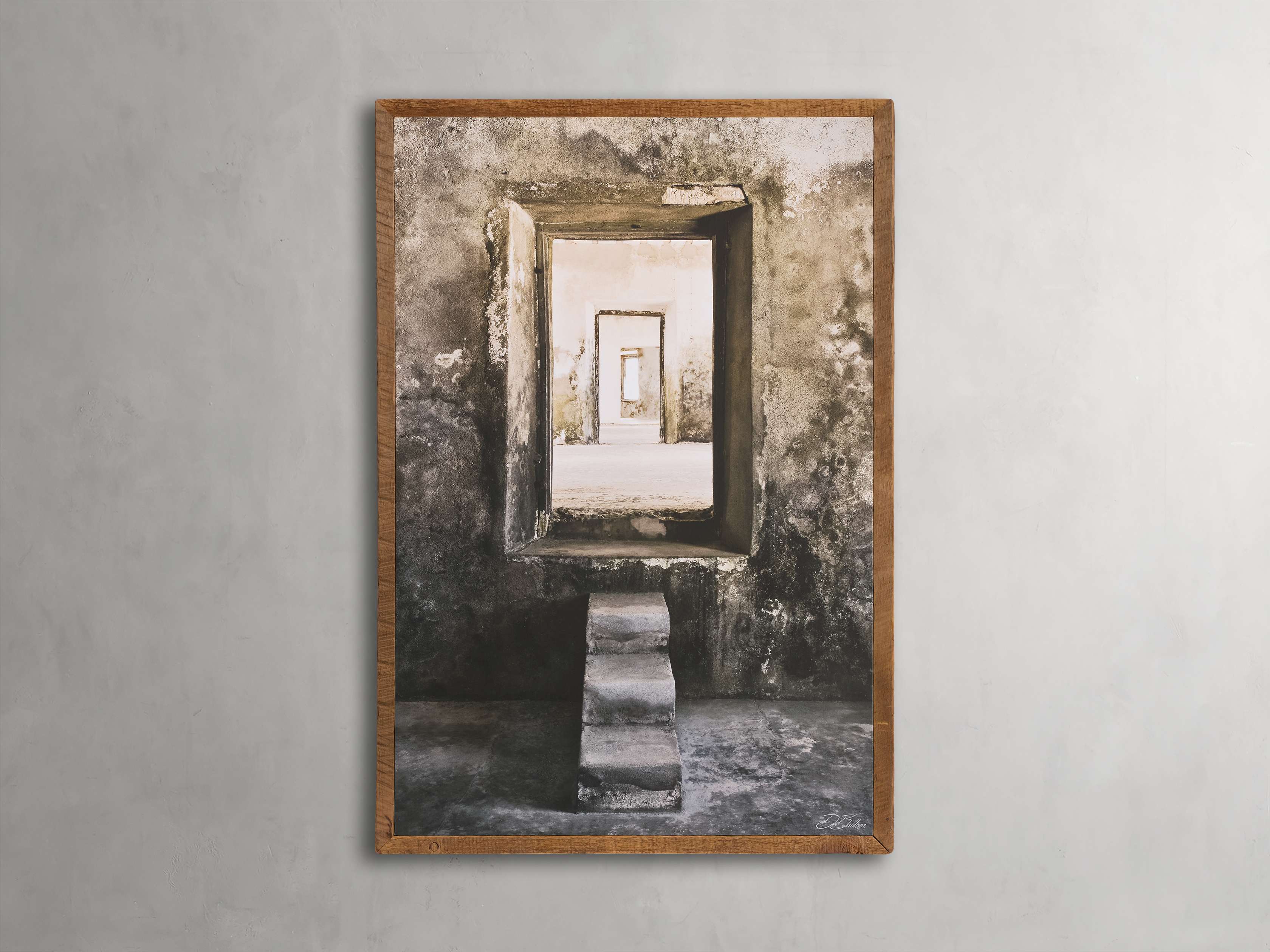 Botanical Shadows II Framed Print – Arhaus