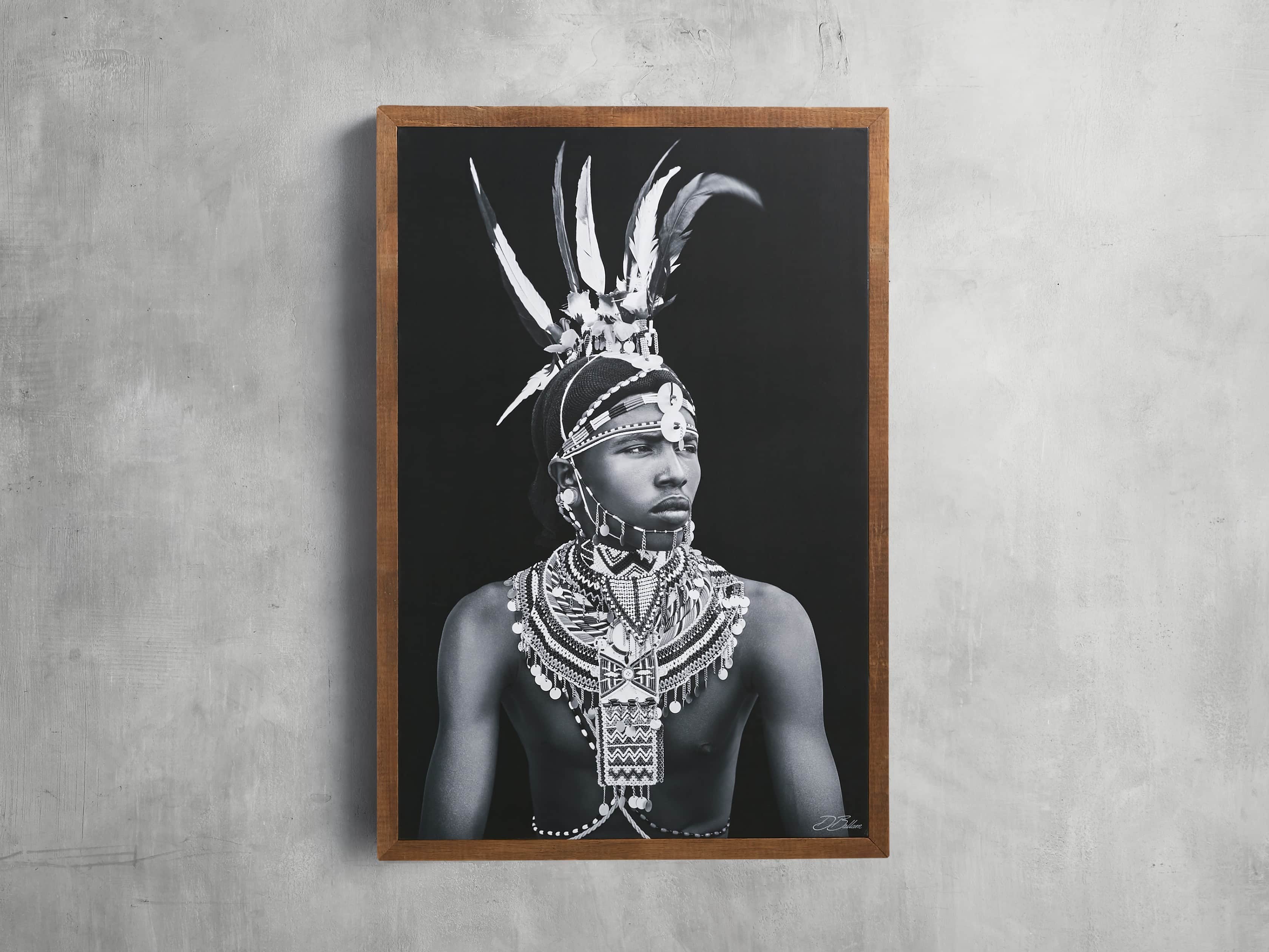 Turkana Feather Framed Print, slide 1 of 7