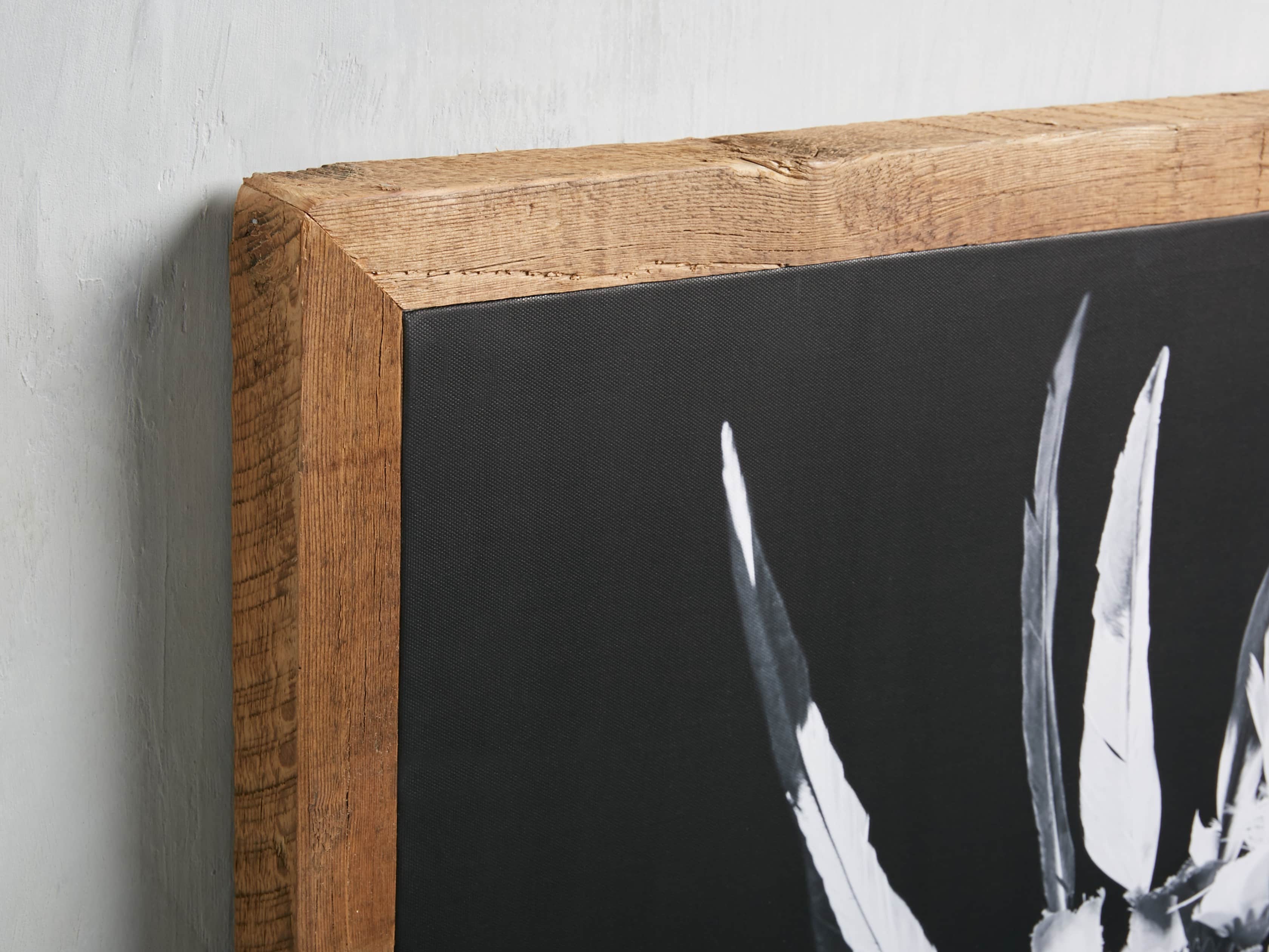 Turkana Feather Framed Print, slide 4 of 7