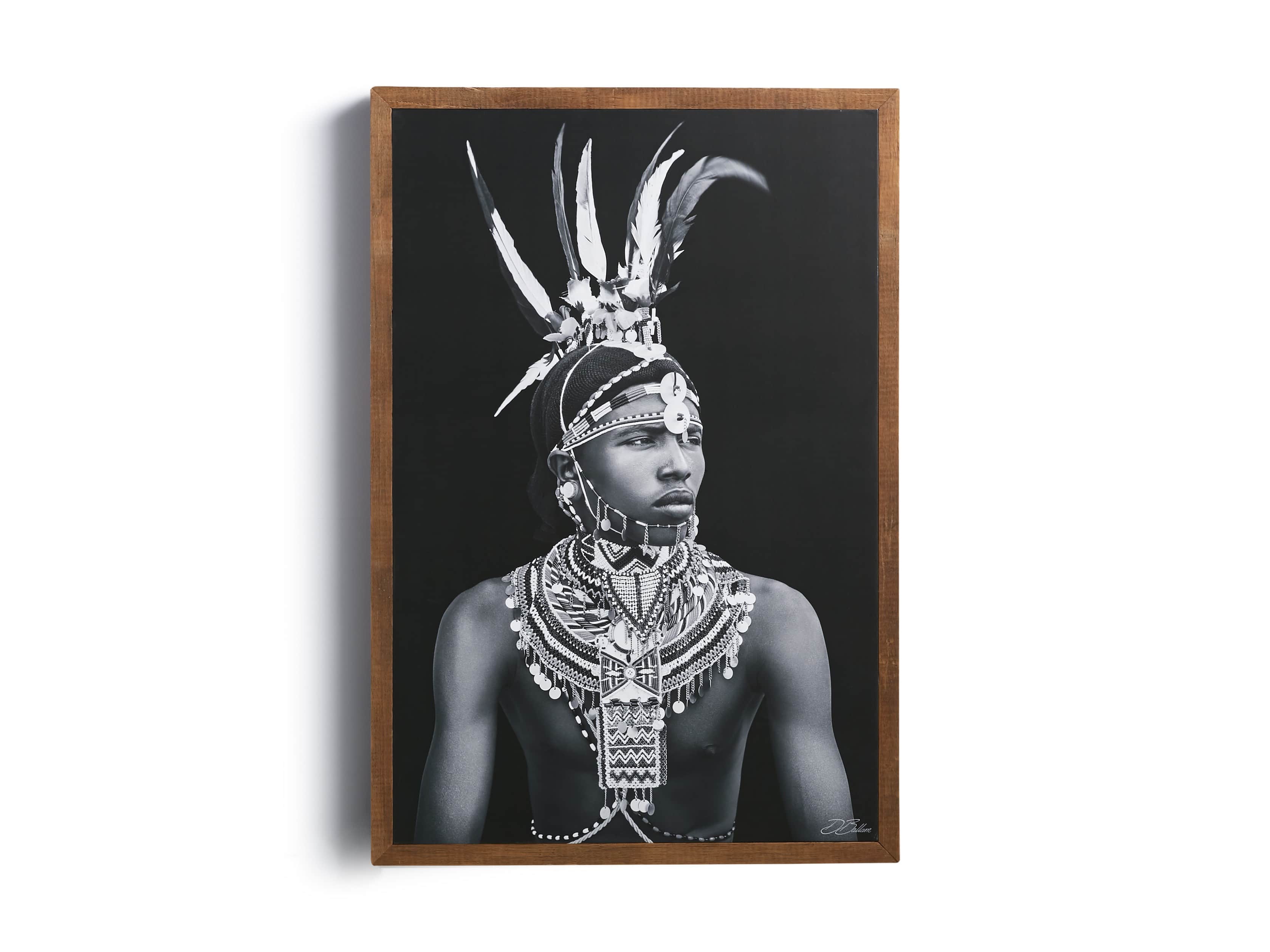 Turkana Feather Framed Print, slide 2 of 7