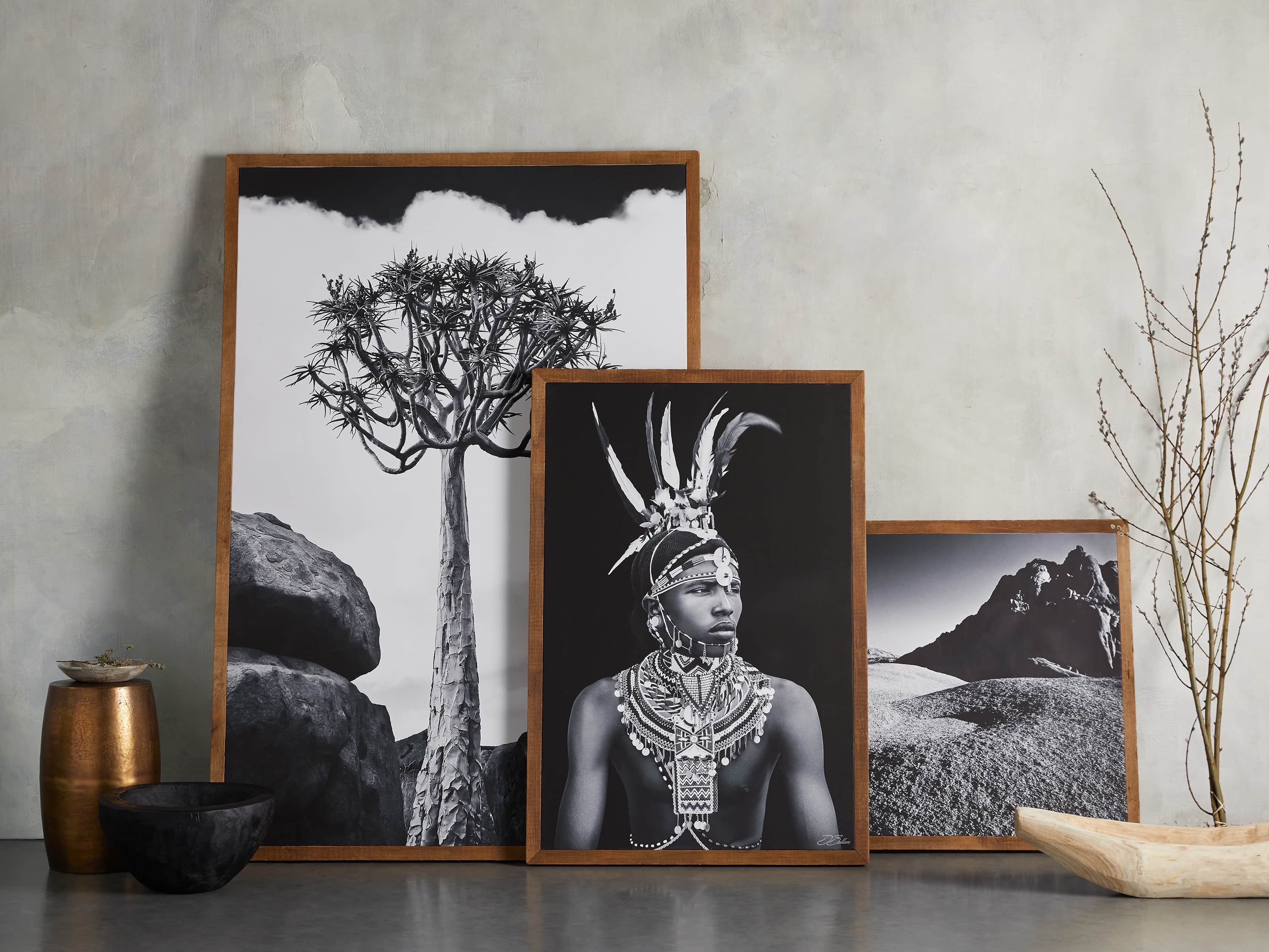 Turkana Feather Framed Print, slide 7 of 7