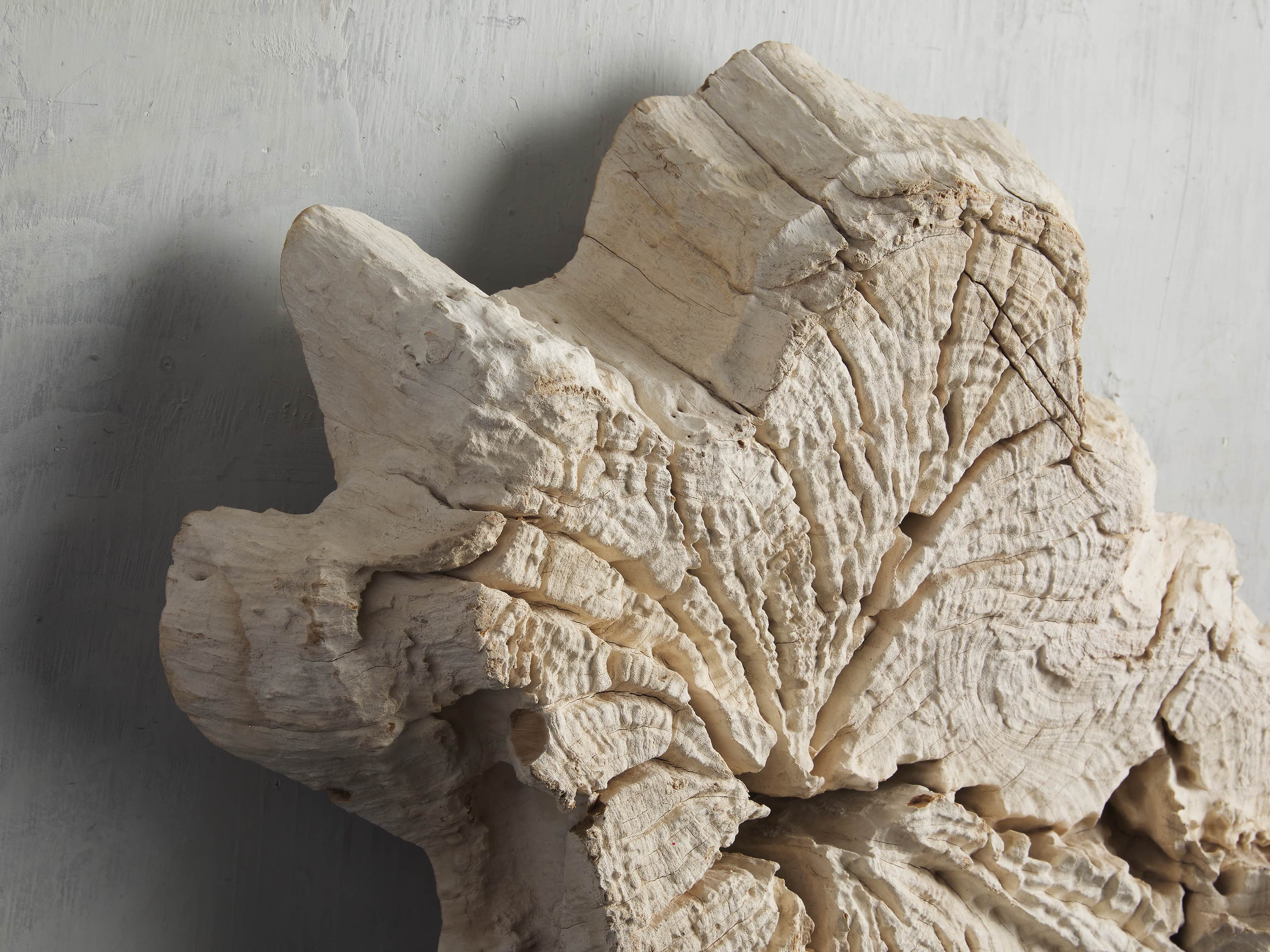 Small Teak Root Wall Decor, slide 2 of 4
