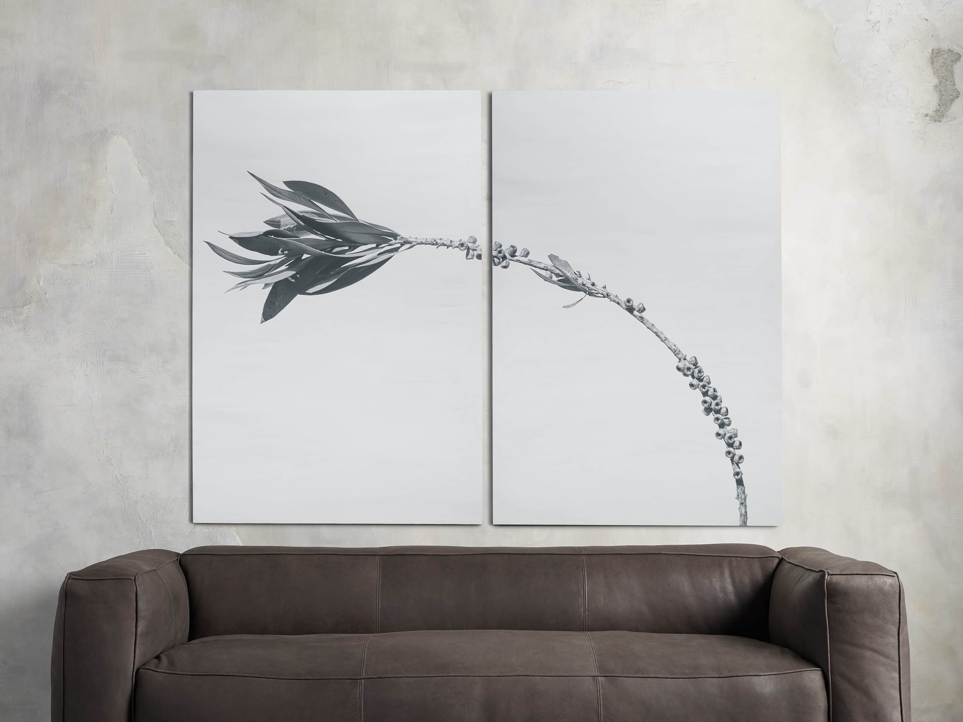 Large Dried Plant Fresco Print, slide 1 of 7