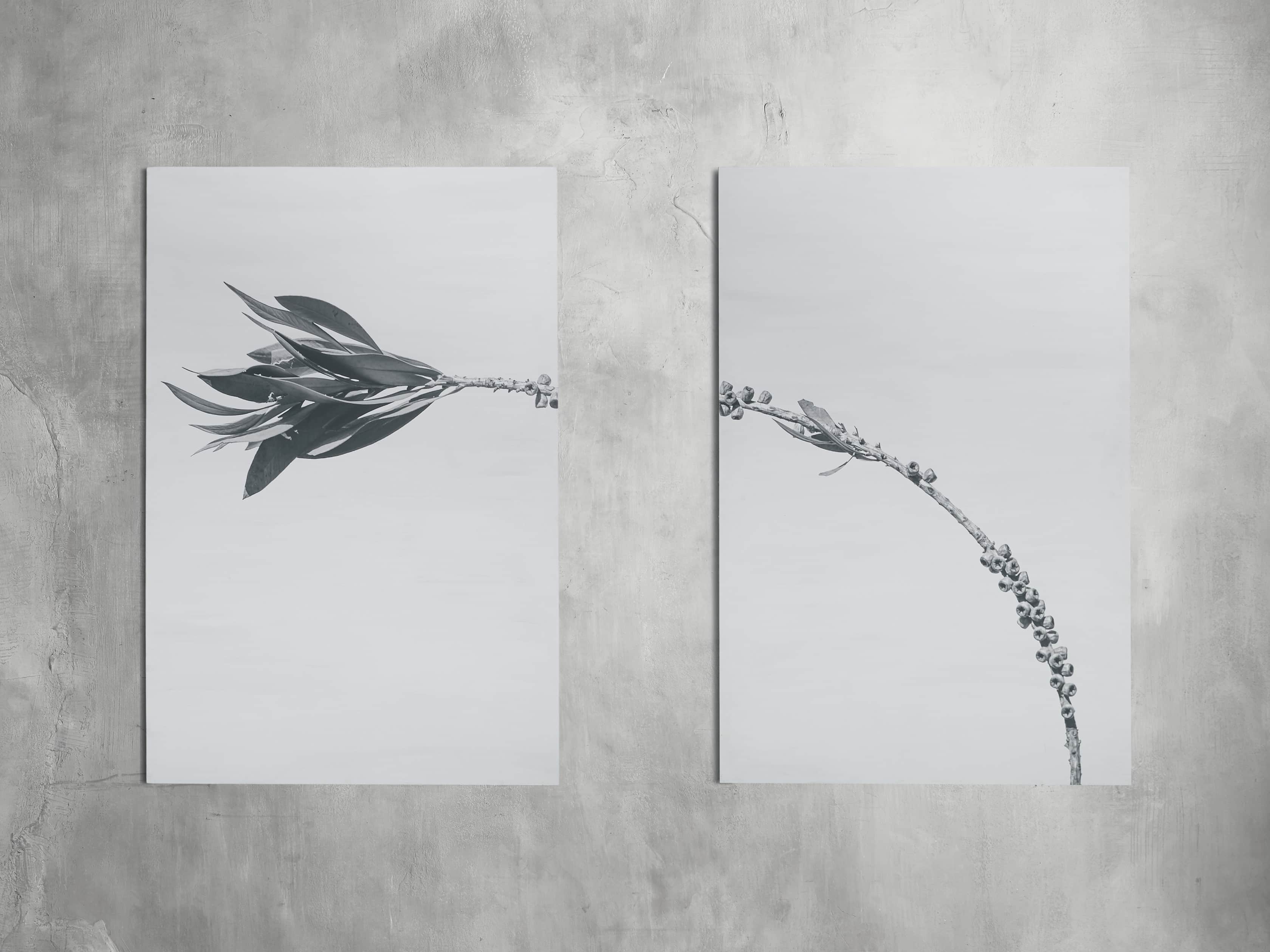 Large Dried Plant Fresco Print, slide 2 of 7