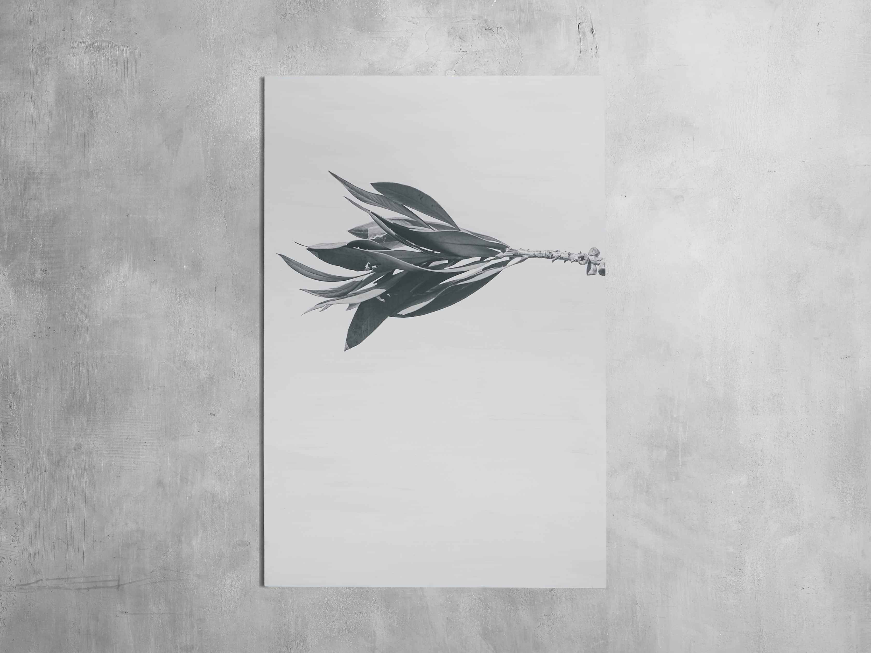 Large Dried Plant Fresco Print, slide 3 of 7