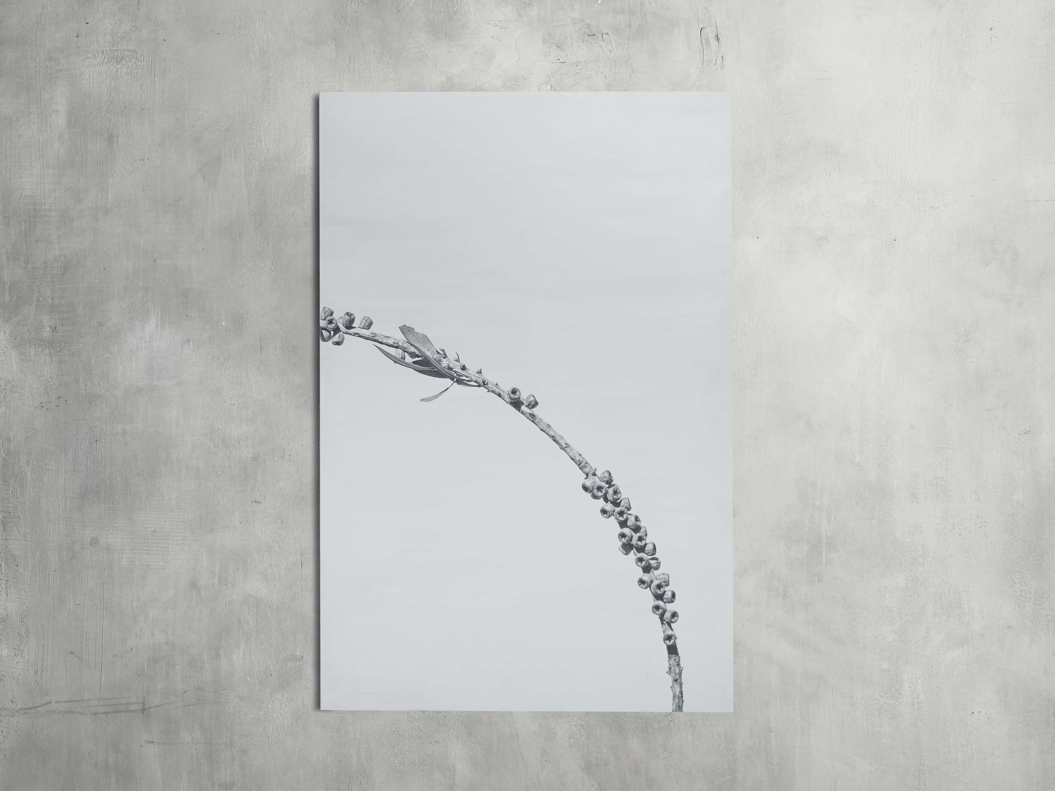 Large Dried Plant Fresco Print, slide 4 of 7