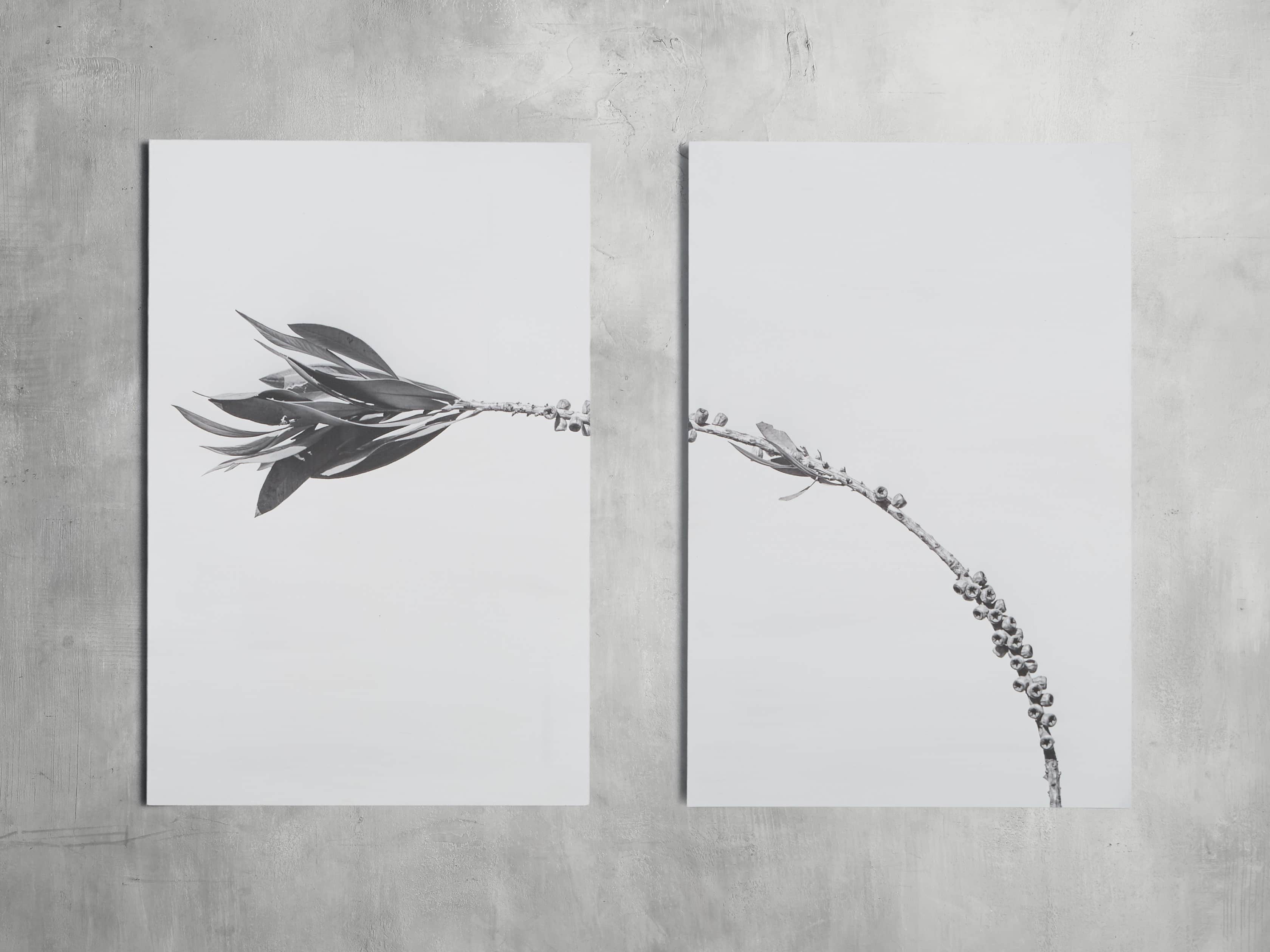 Small Dried Plant Fresco Print, slide 2 of 6
