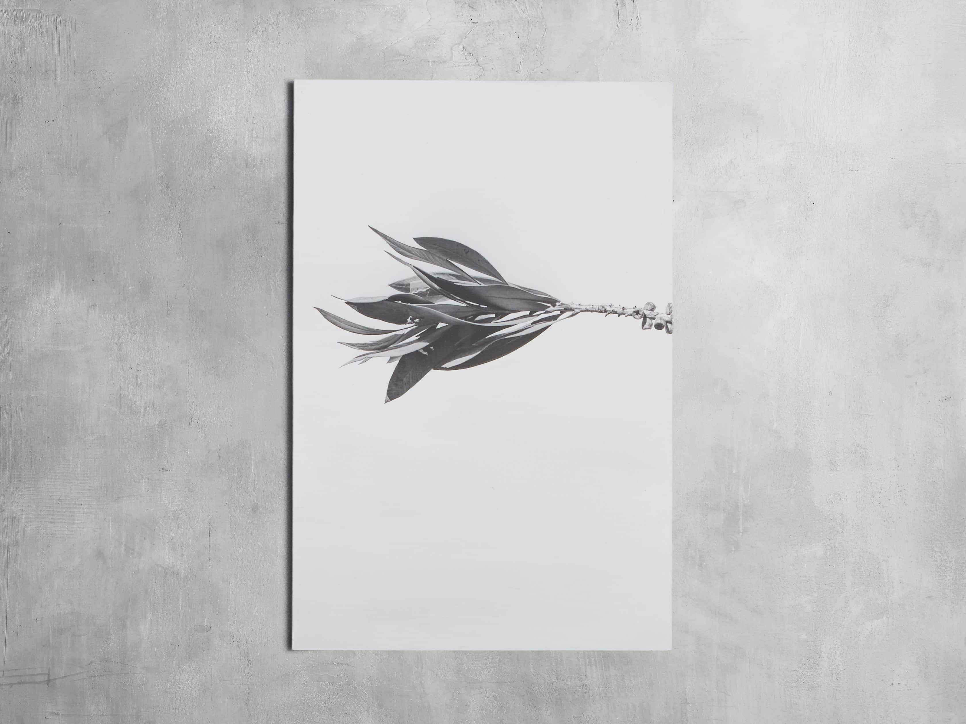 Small Dried Plant Fresco Print, slide 3 of 6