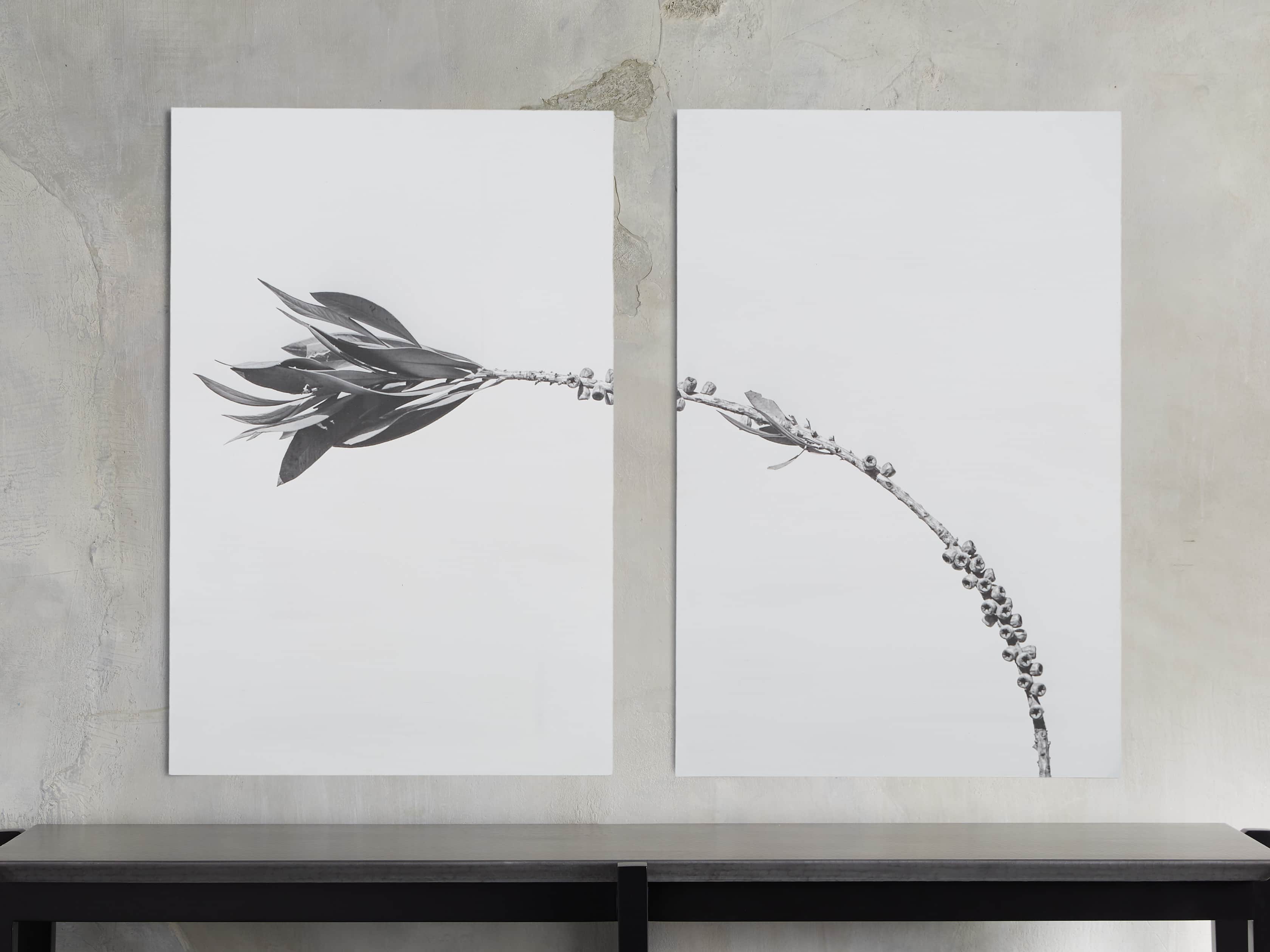 Small Dried Plant Fresco Print, slide 1 of 6