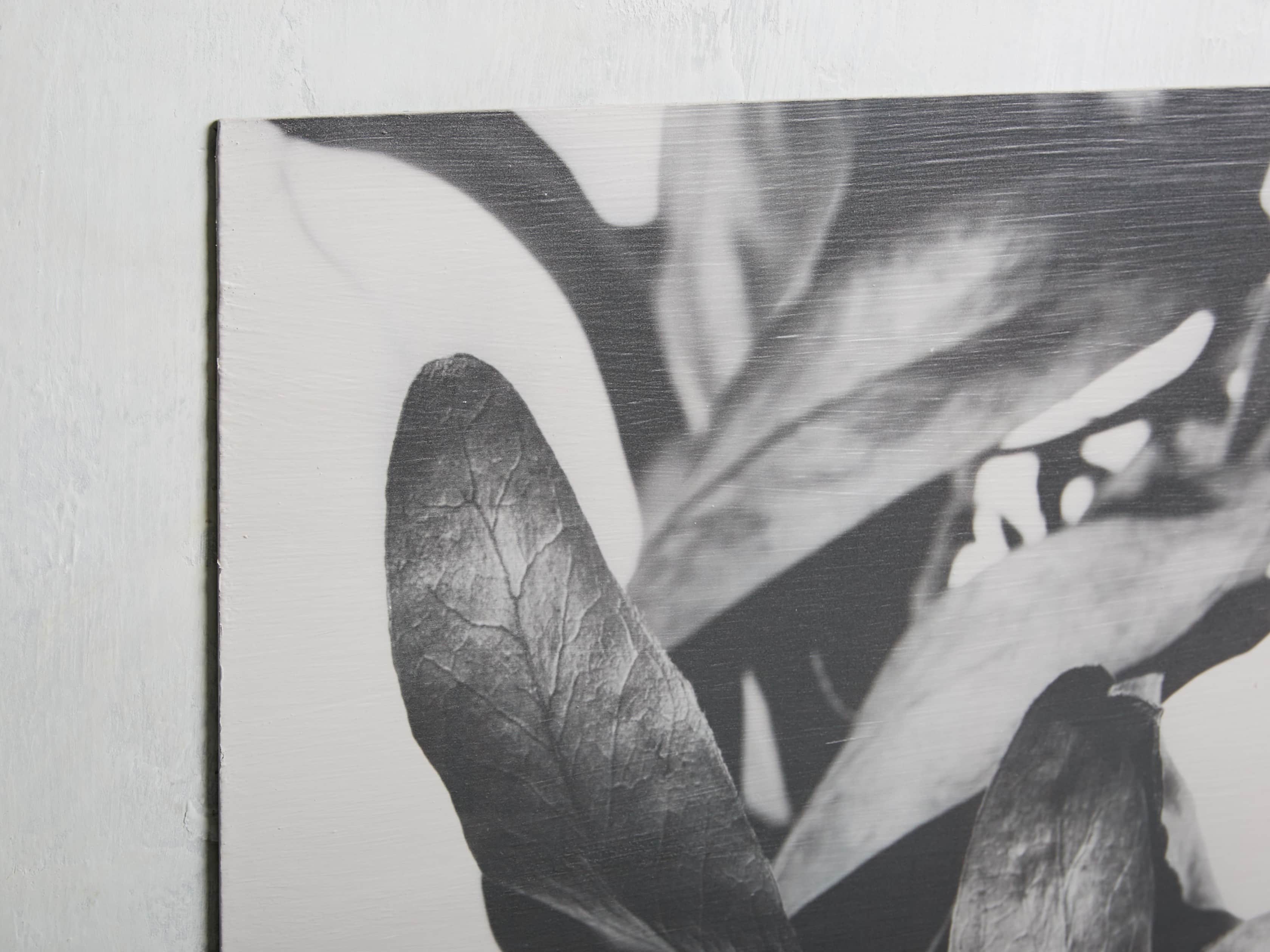 Small Protea Leaves Fresco Print