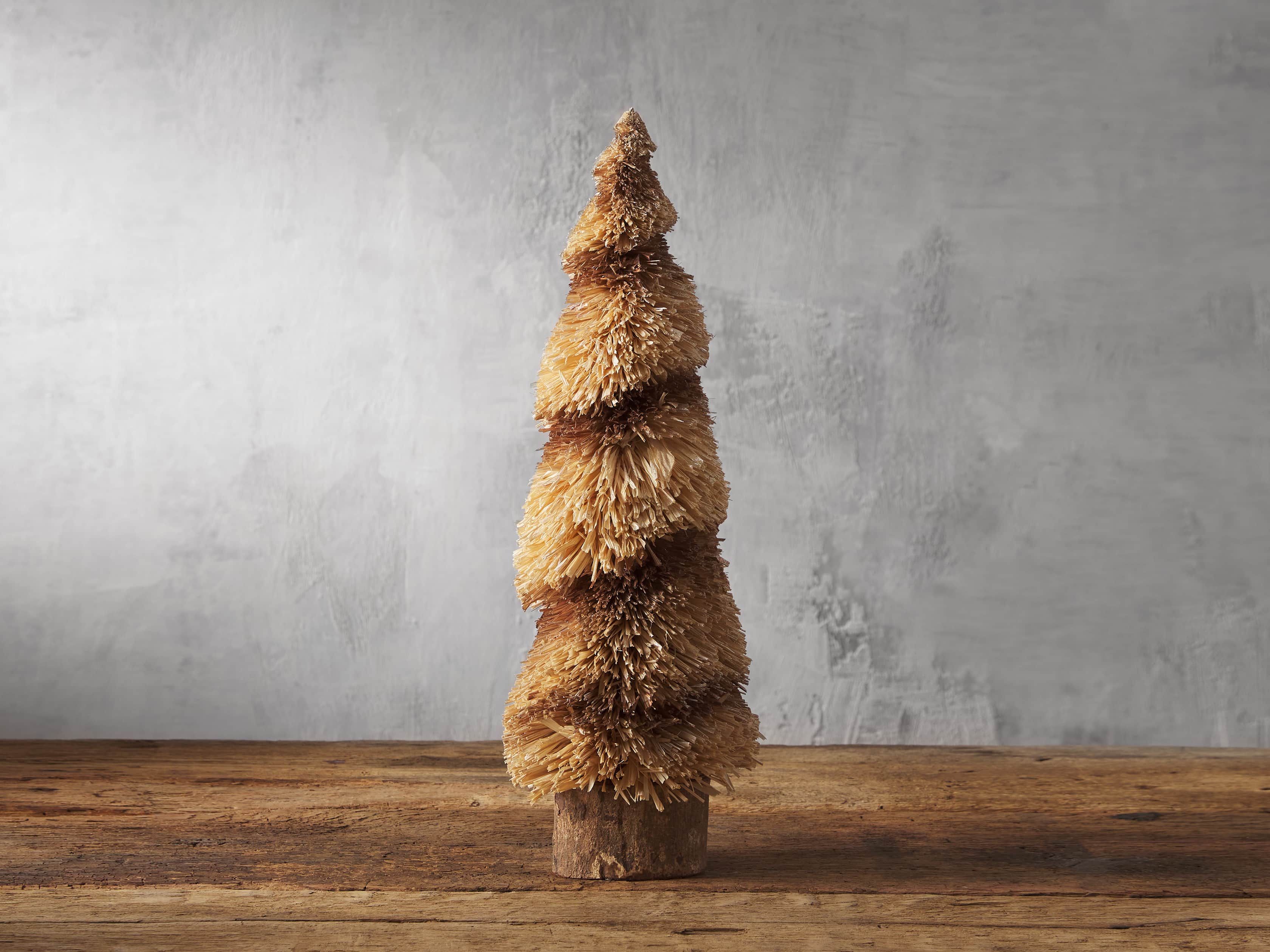 Large Spiral Bottlebrush Tree, slide 1 of 3